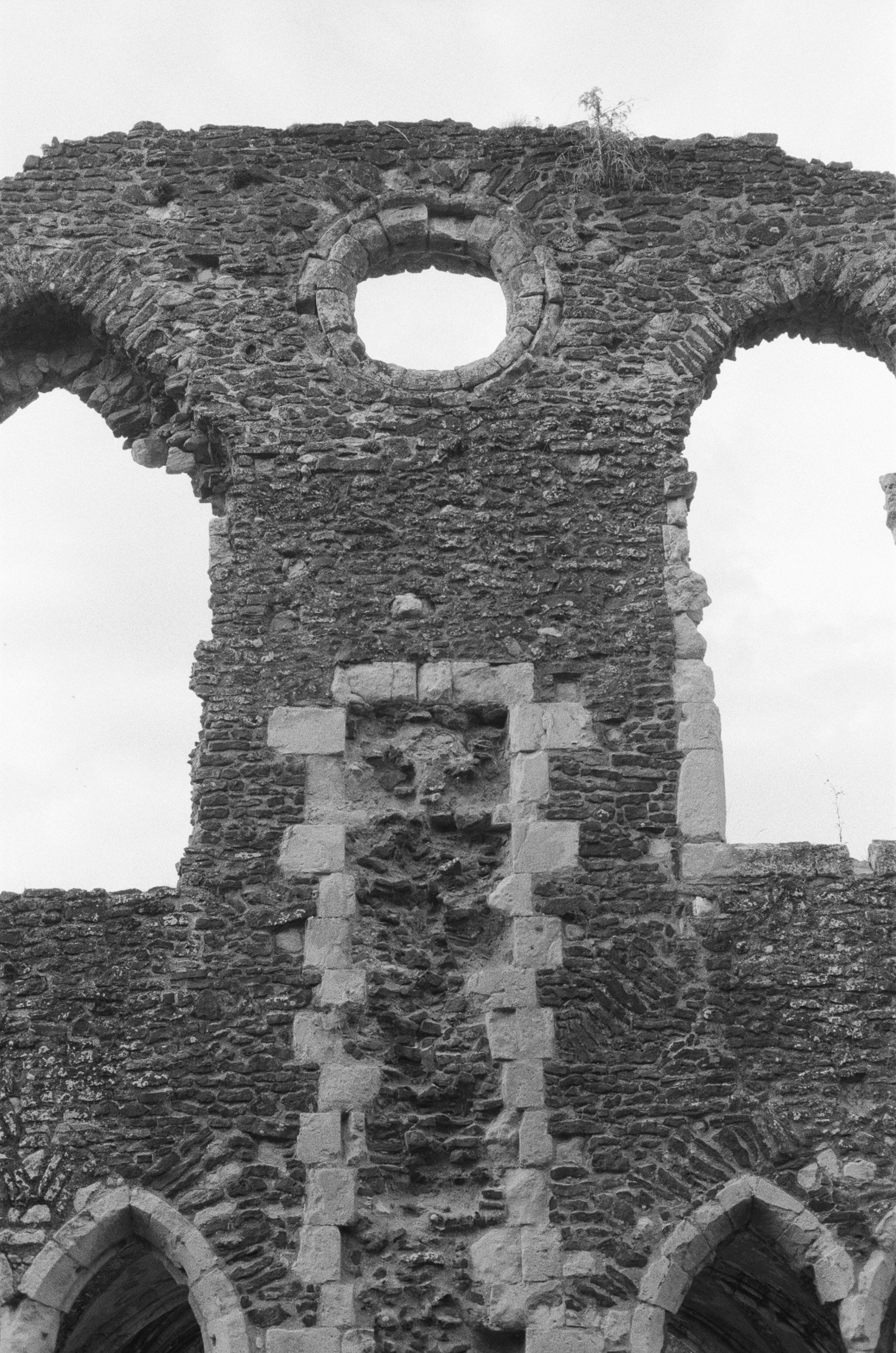 Photo by tanyabarrow