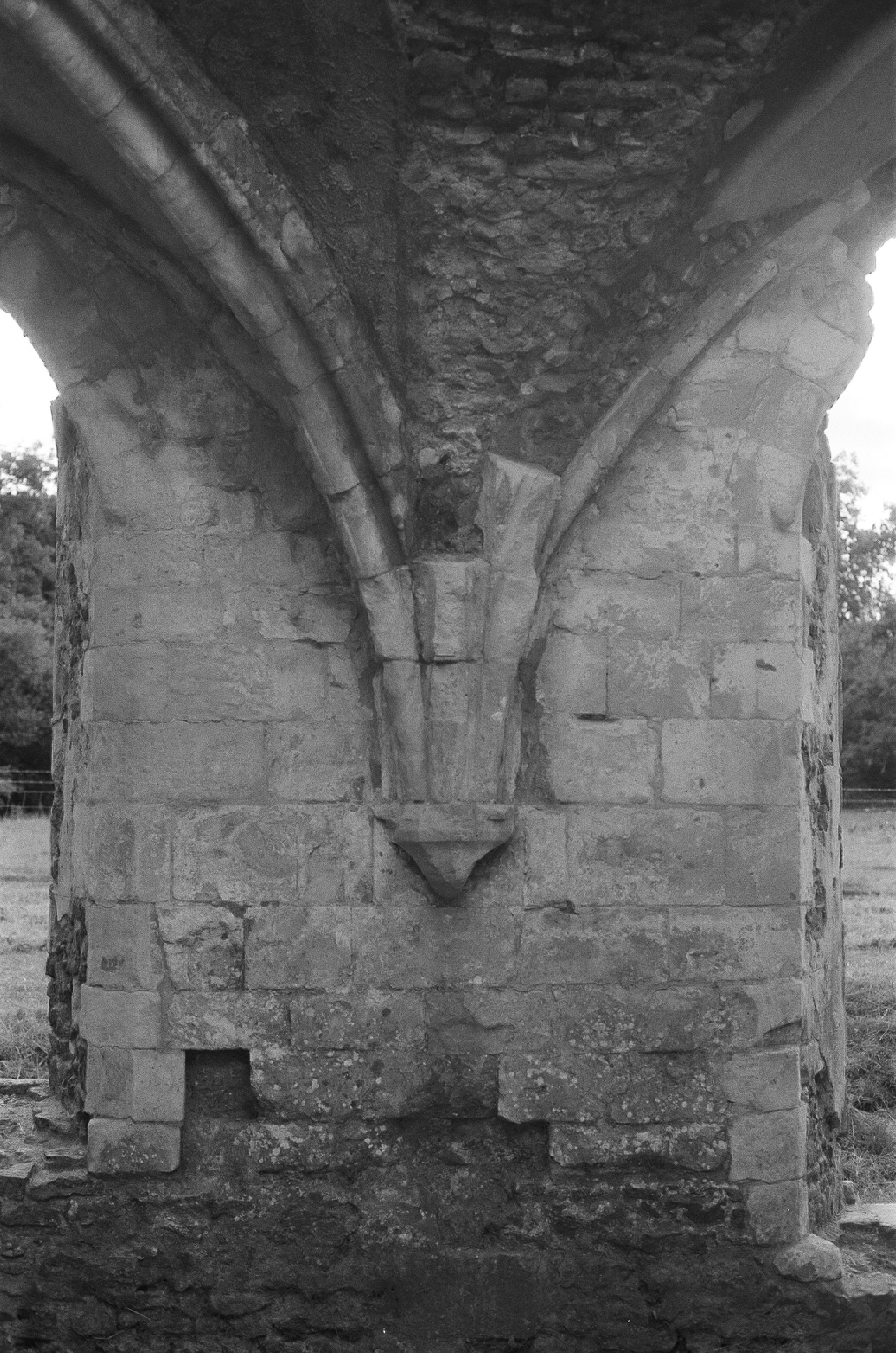 Photo by tanyabarrow