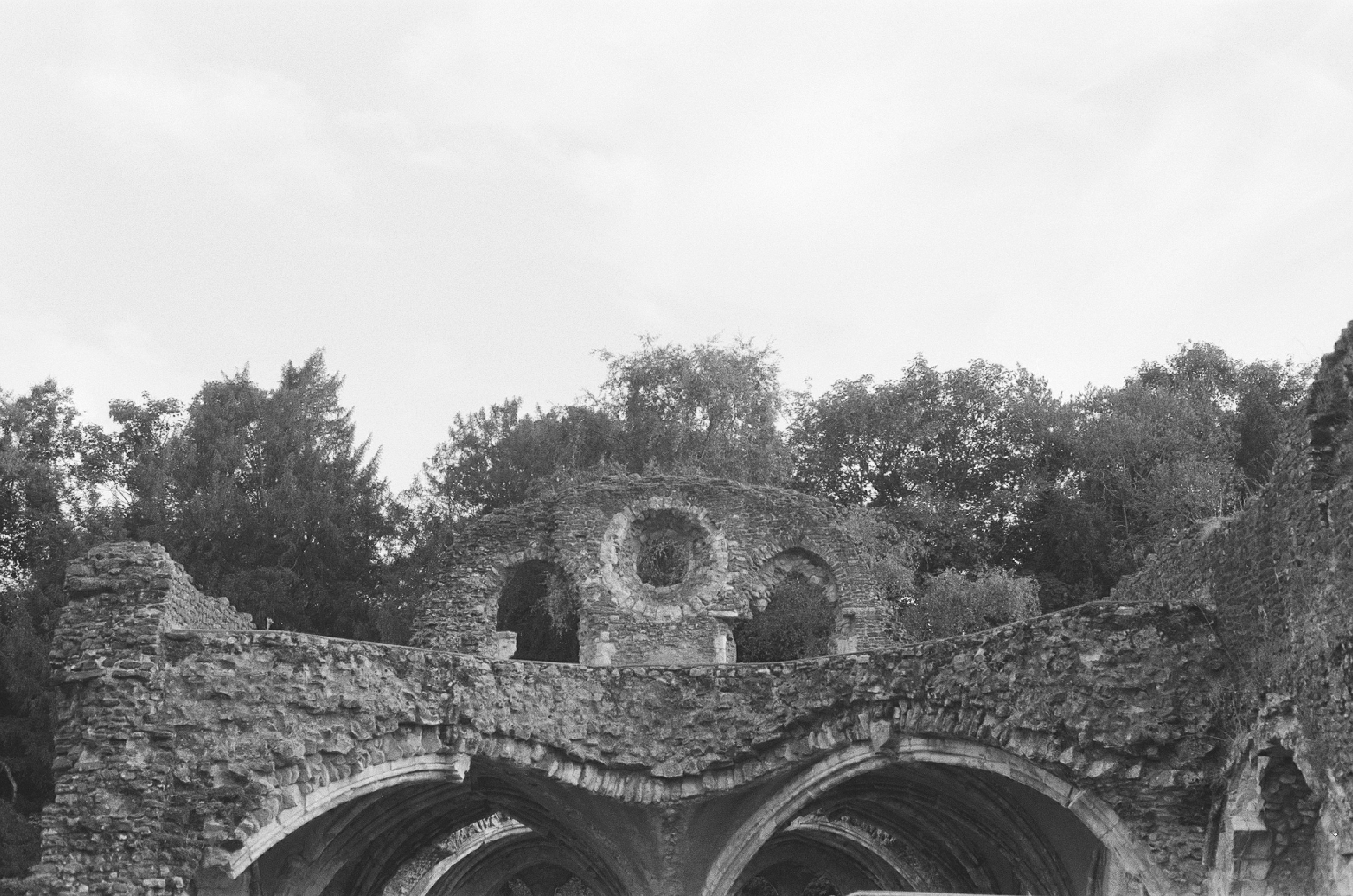 Photo by tanyabarrow