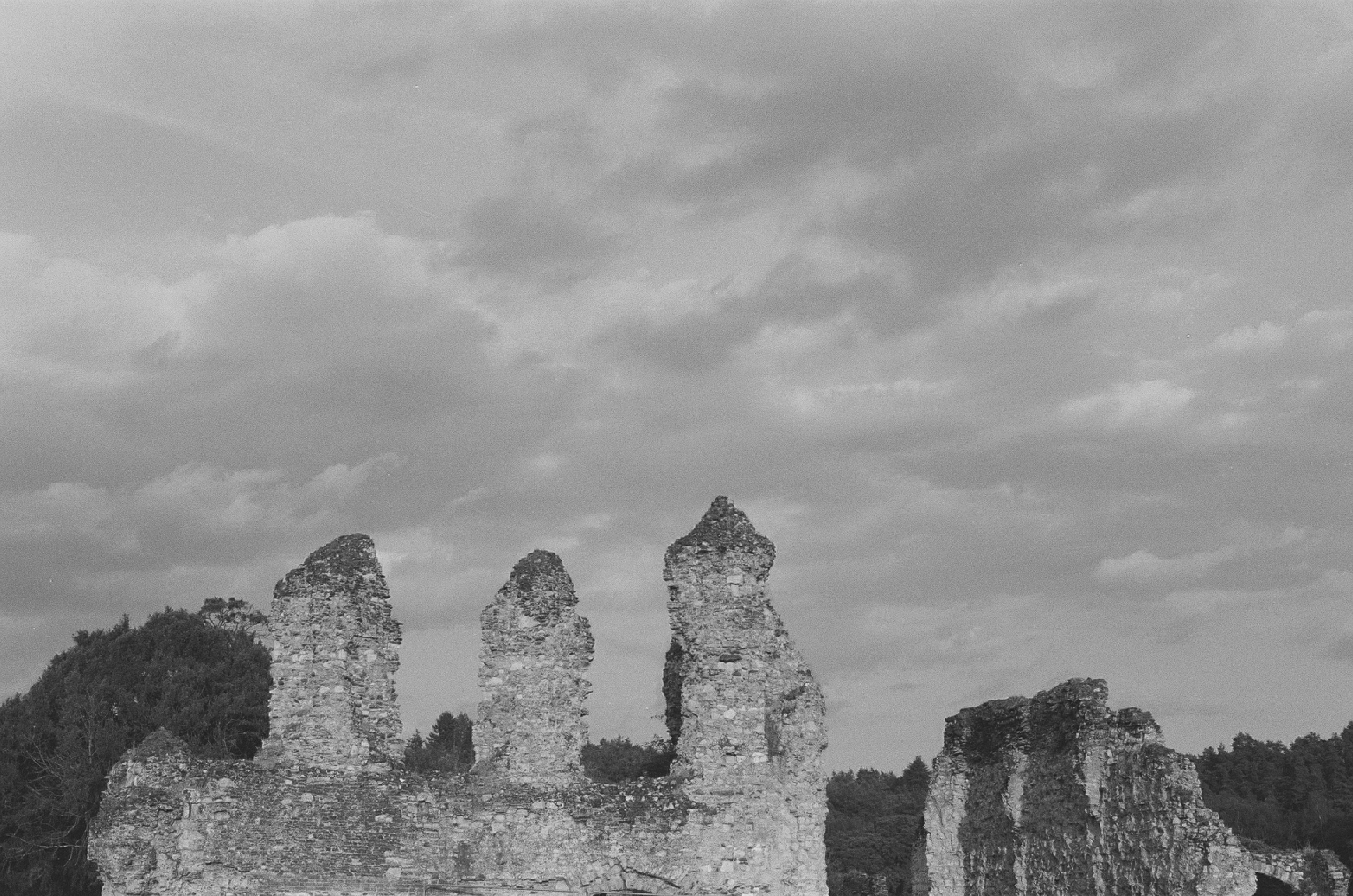 Photo by tanyabarrow