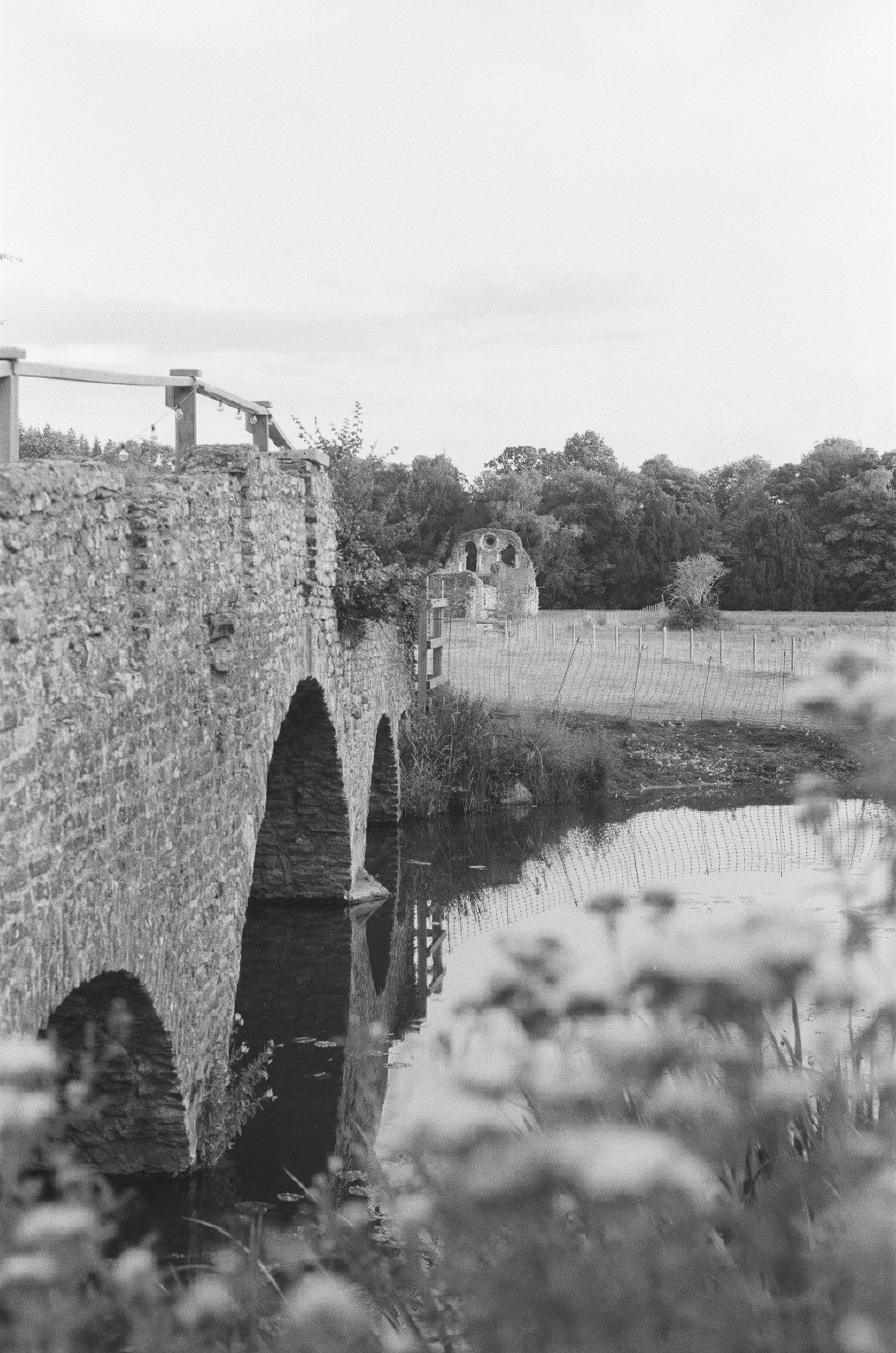 Photo by tanyabarrow