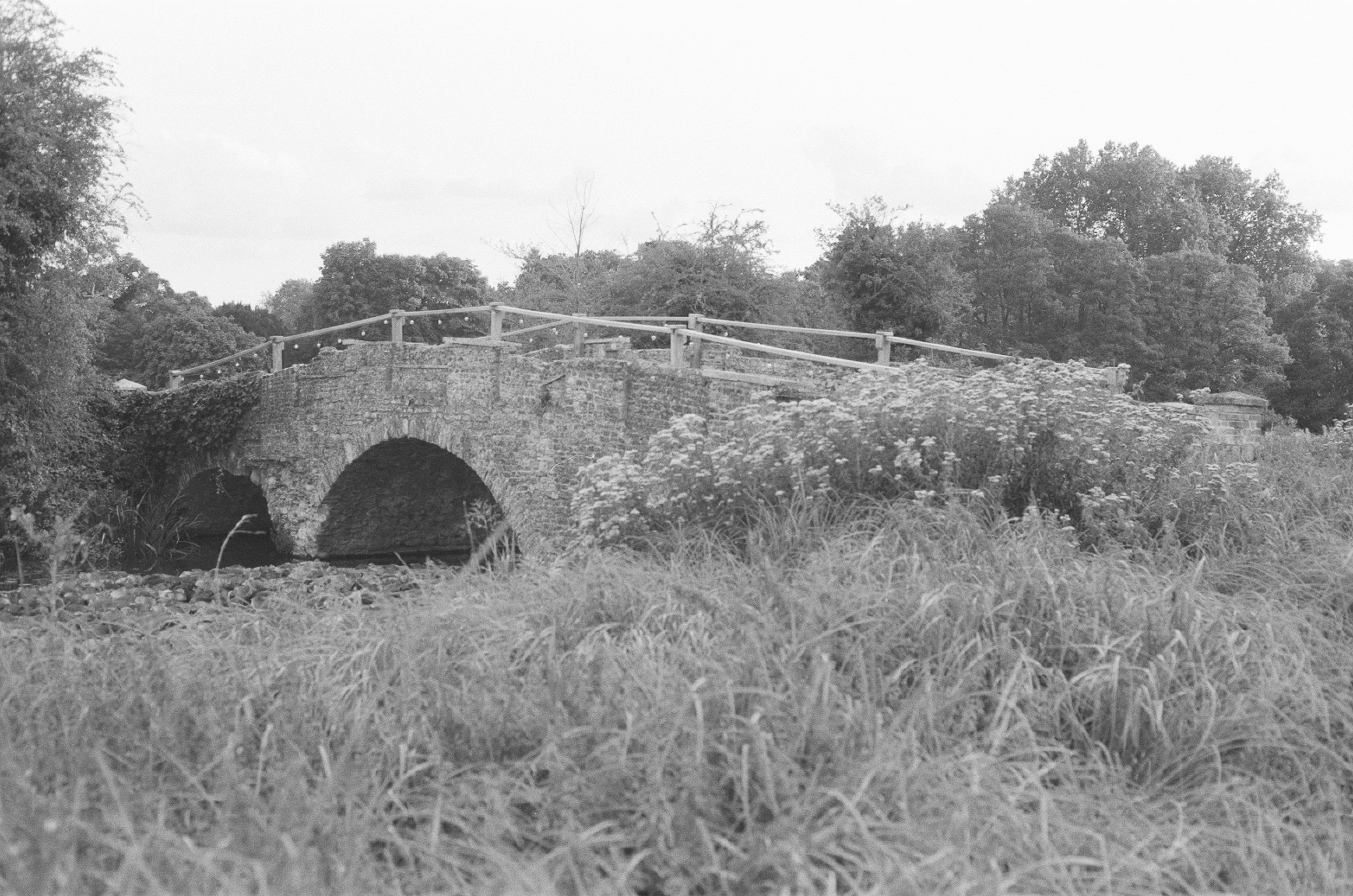 Photo by tanyabarrow