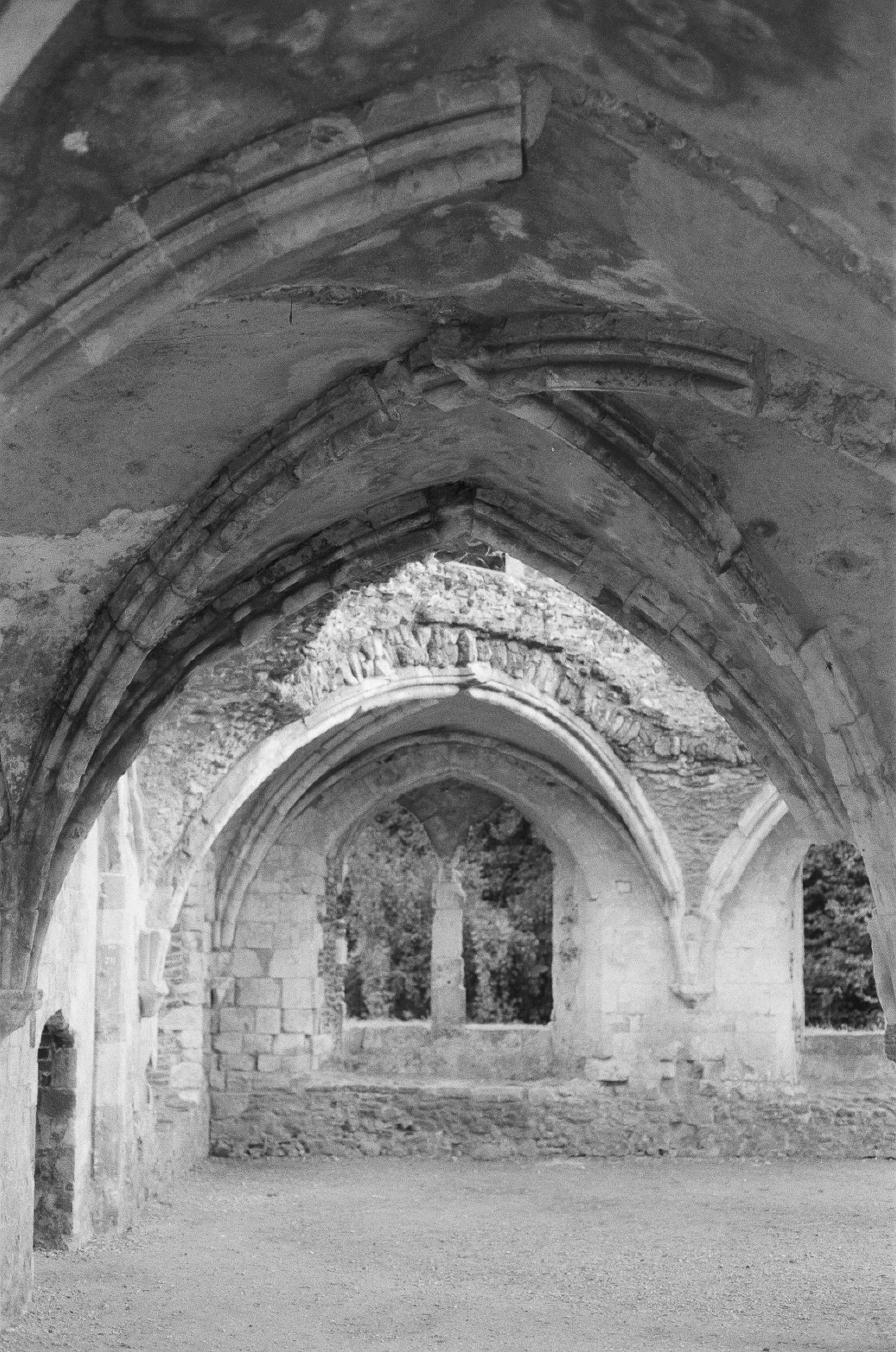 Photo by tanyabarrow