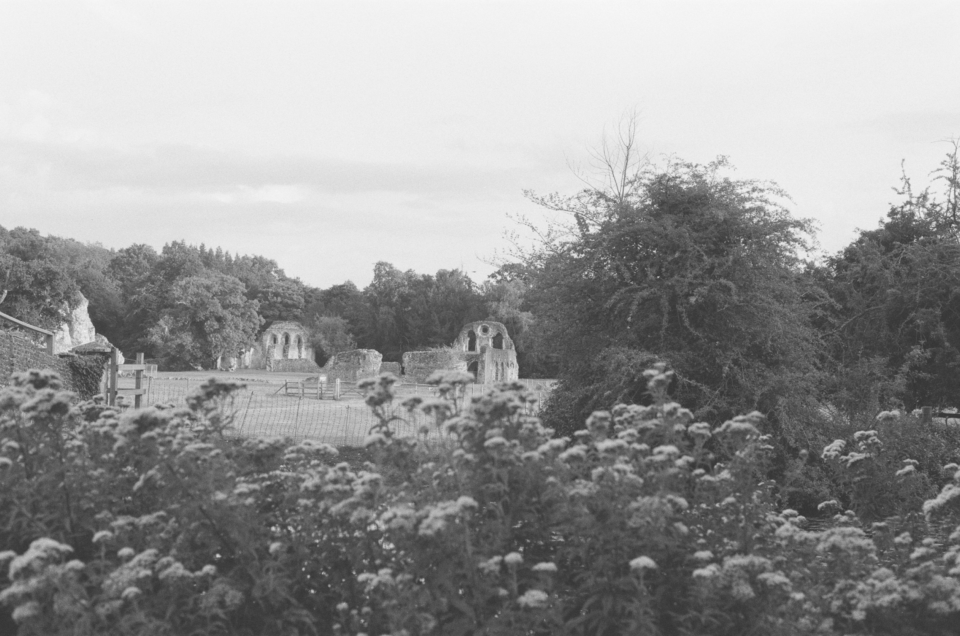 Photo by tanyabarrow