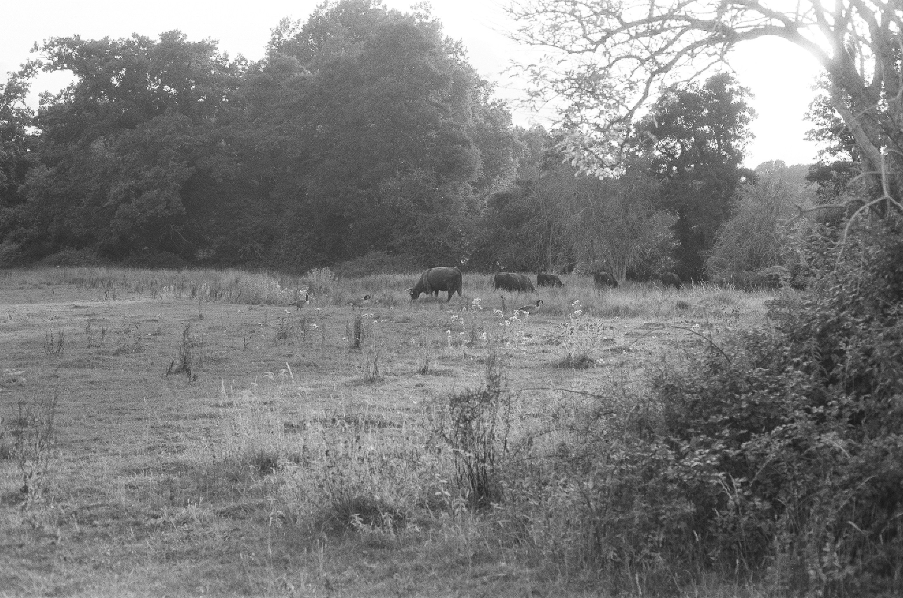 Photo by tanyabarrow