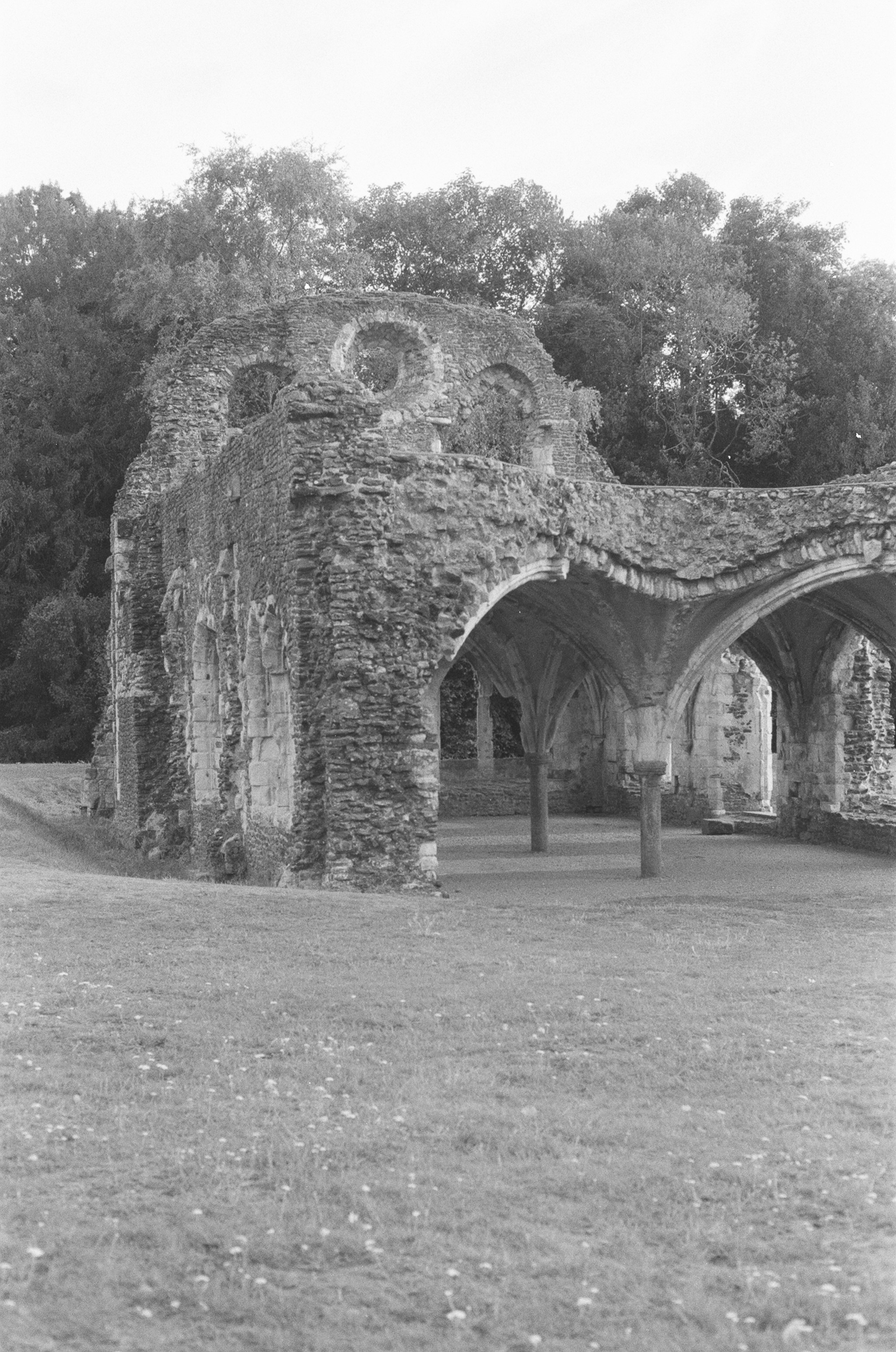 Photo by tanyabarrow