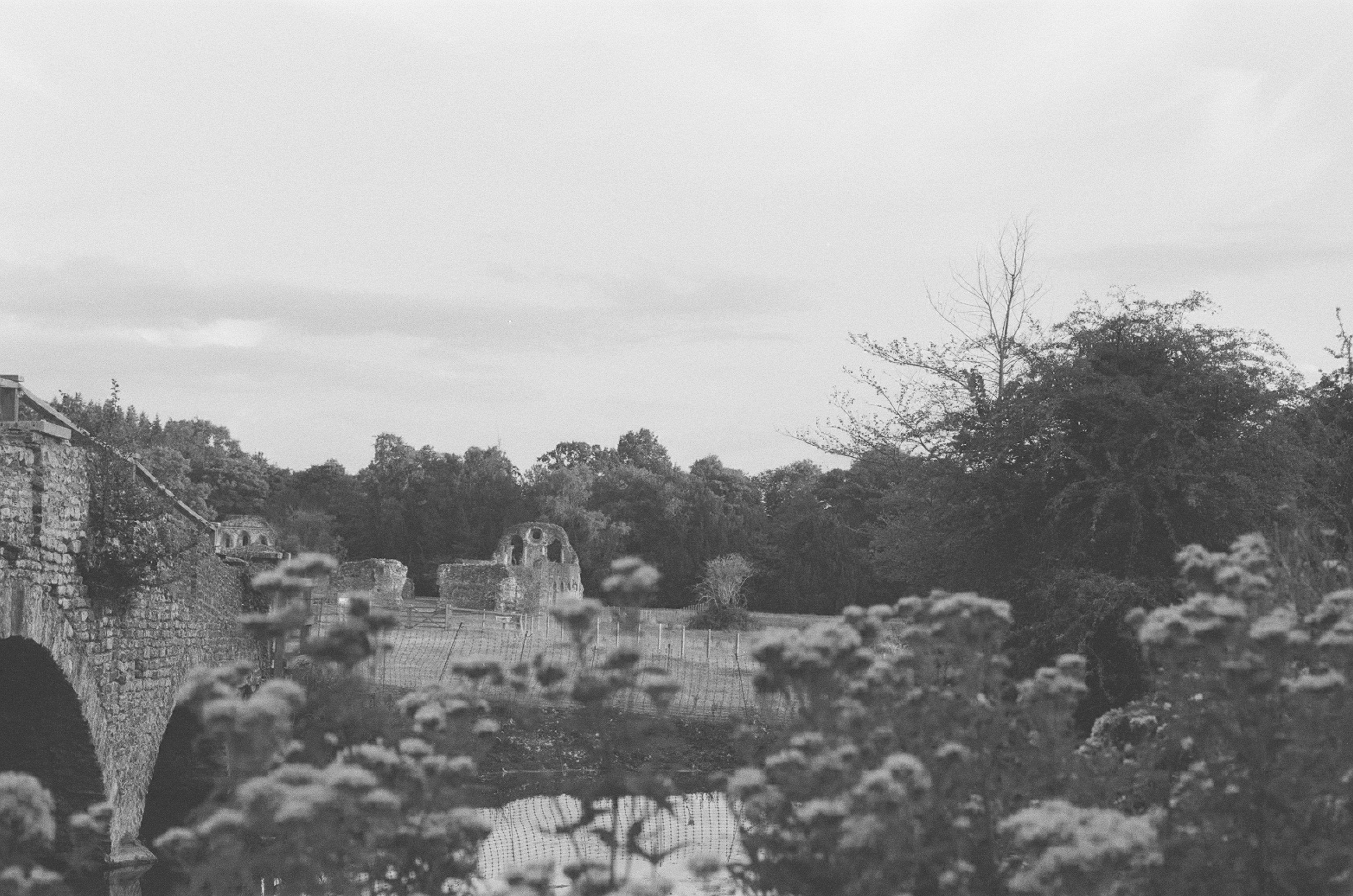 Photo by tanyabarrow