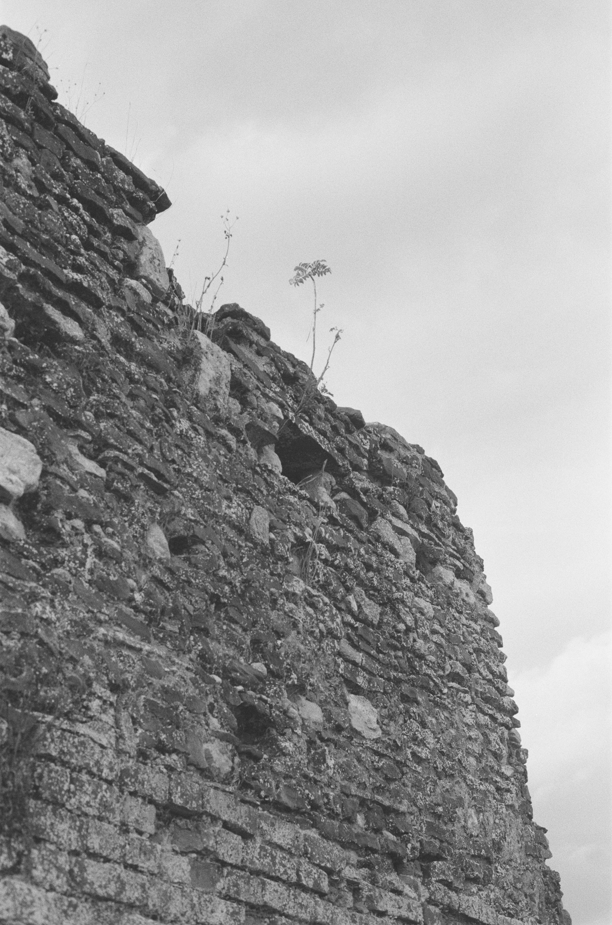 Photo by tanyabarrow