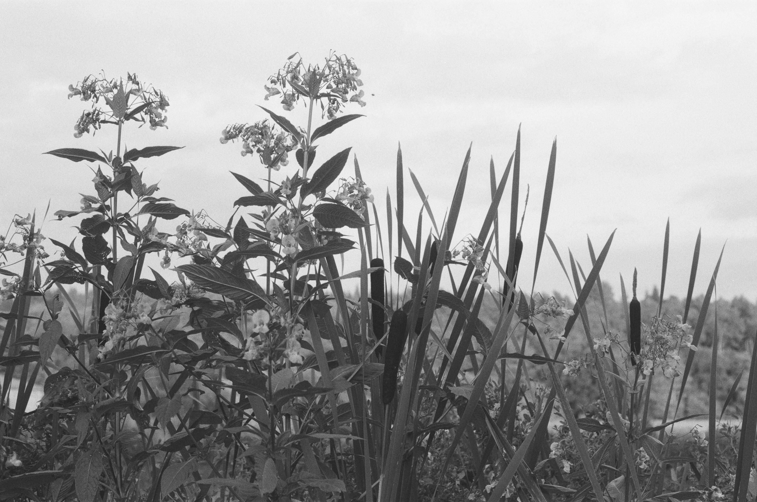 Photo by tanyabarrow