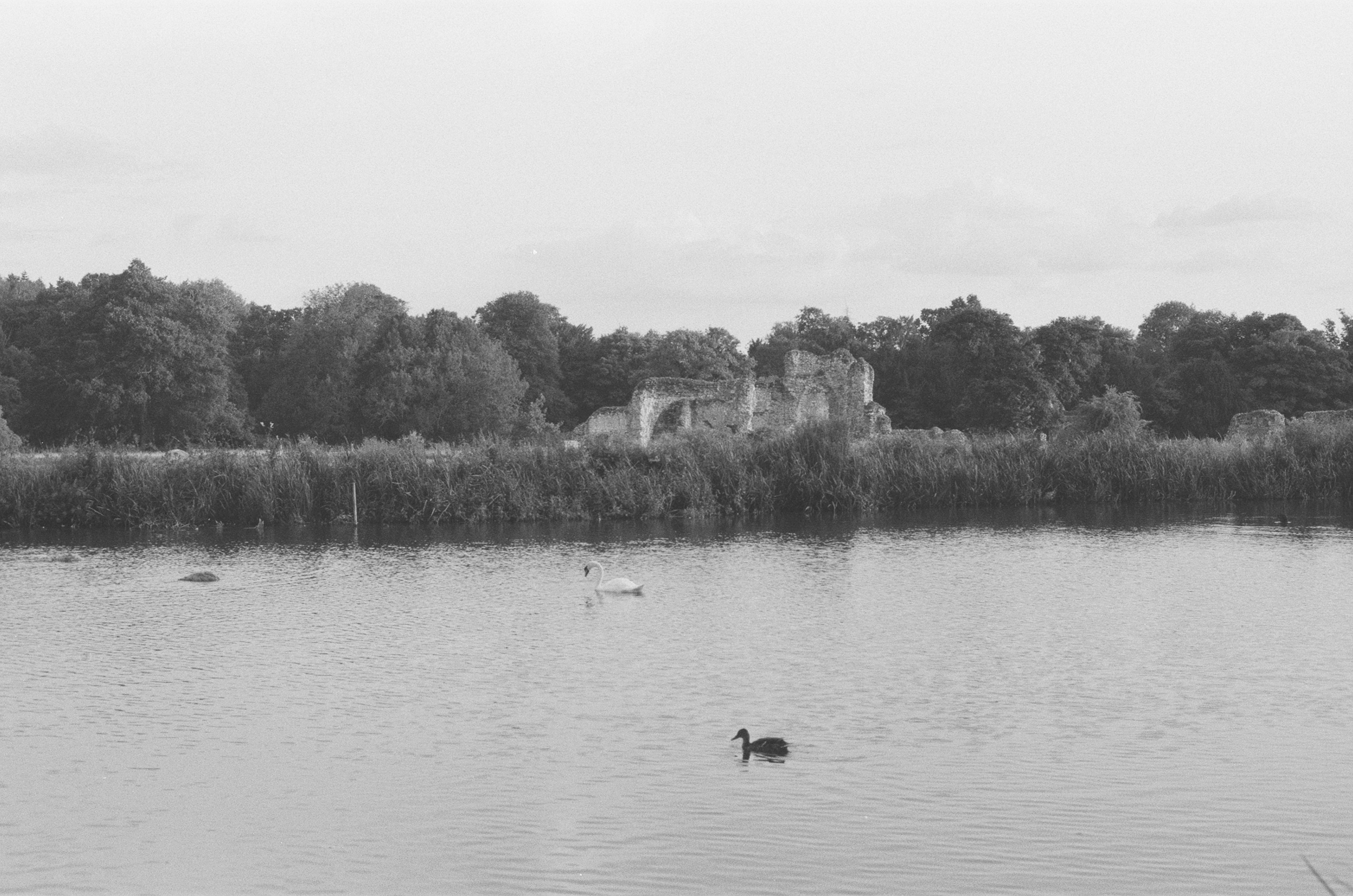 Photo by tanyabarrow