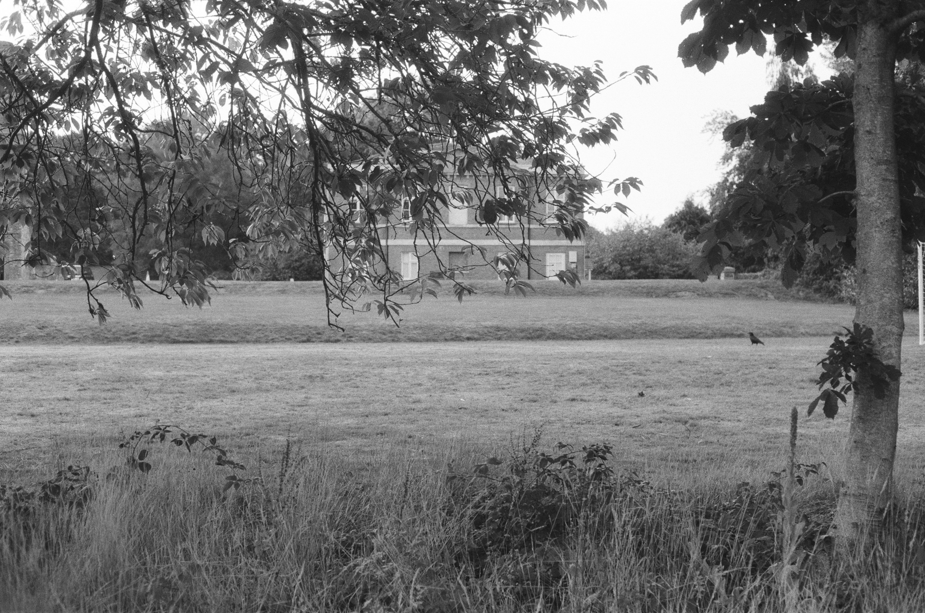 Photo by tanyabarrow