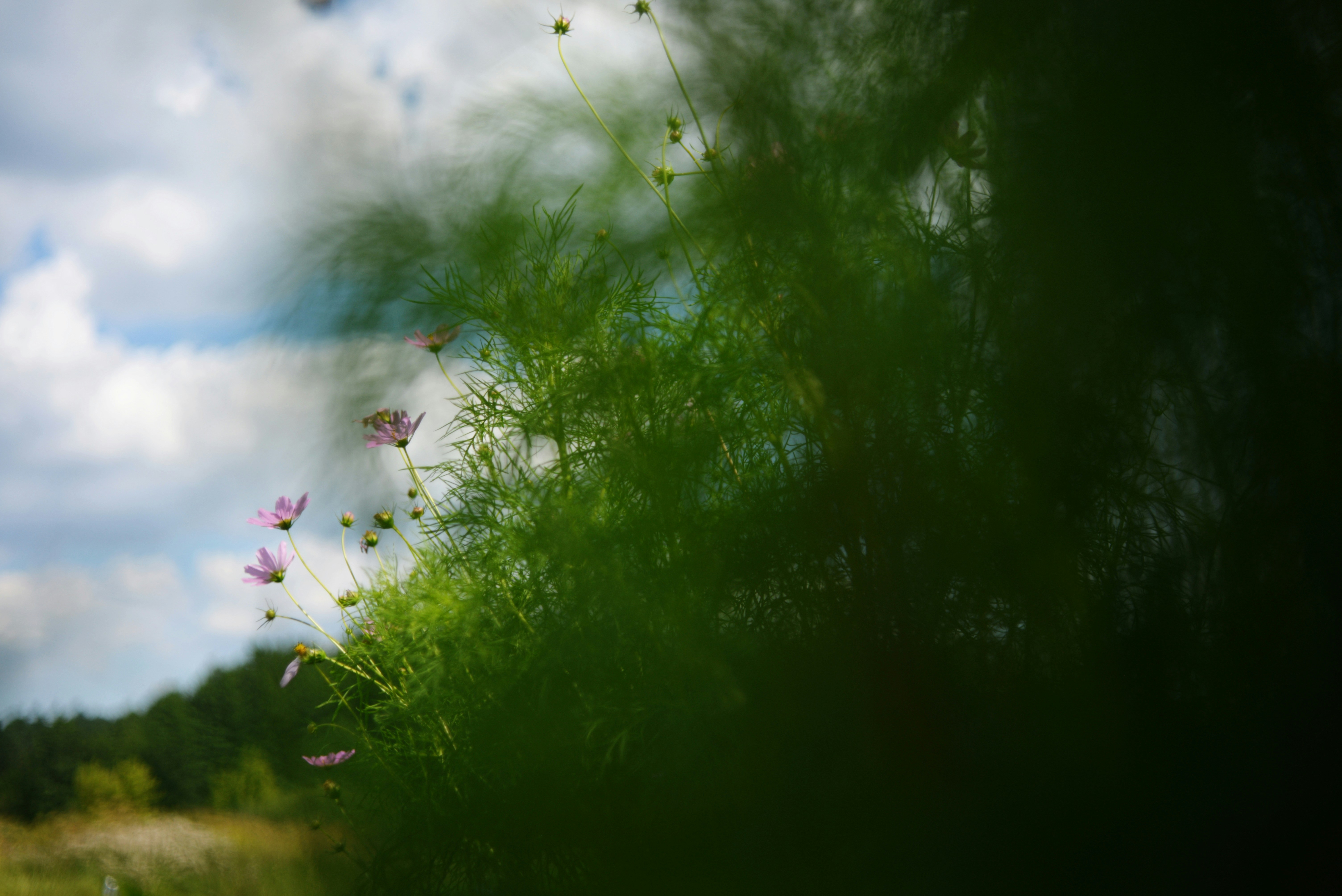 Photo by cherstve_pechivo