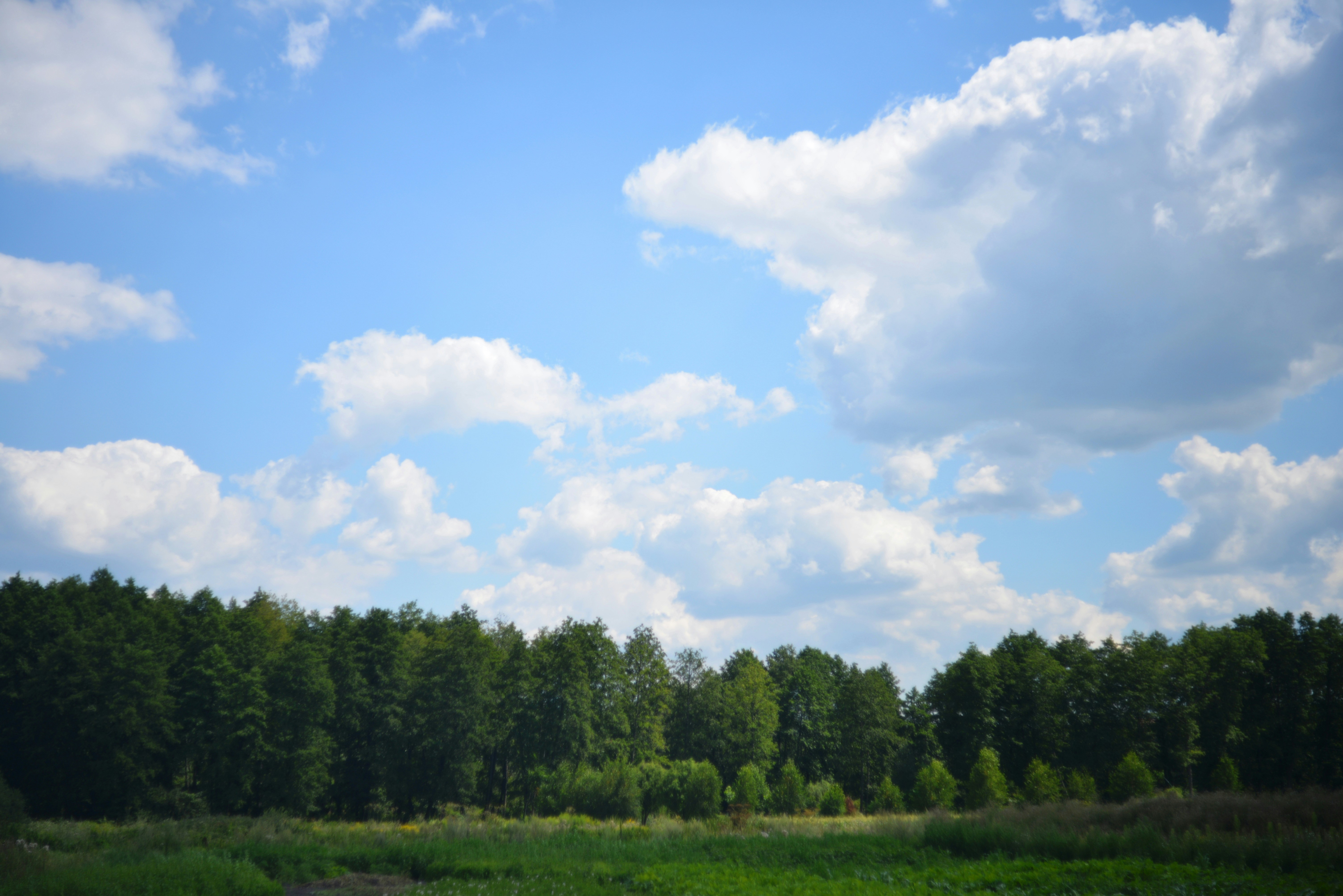 Photo by cherstve_pechivo