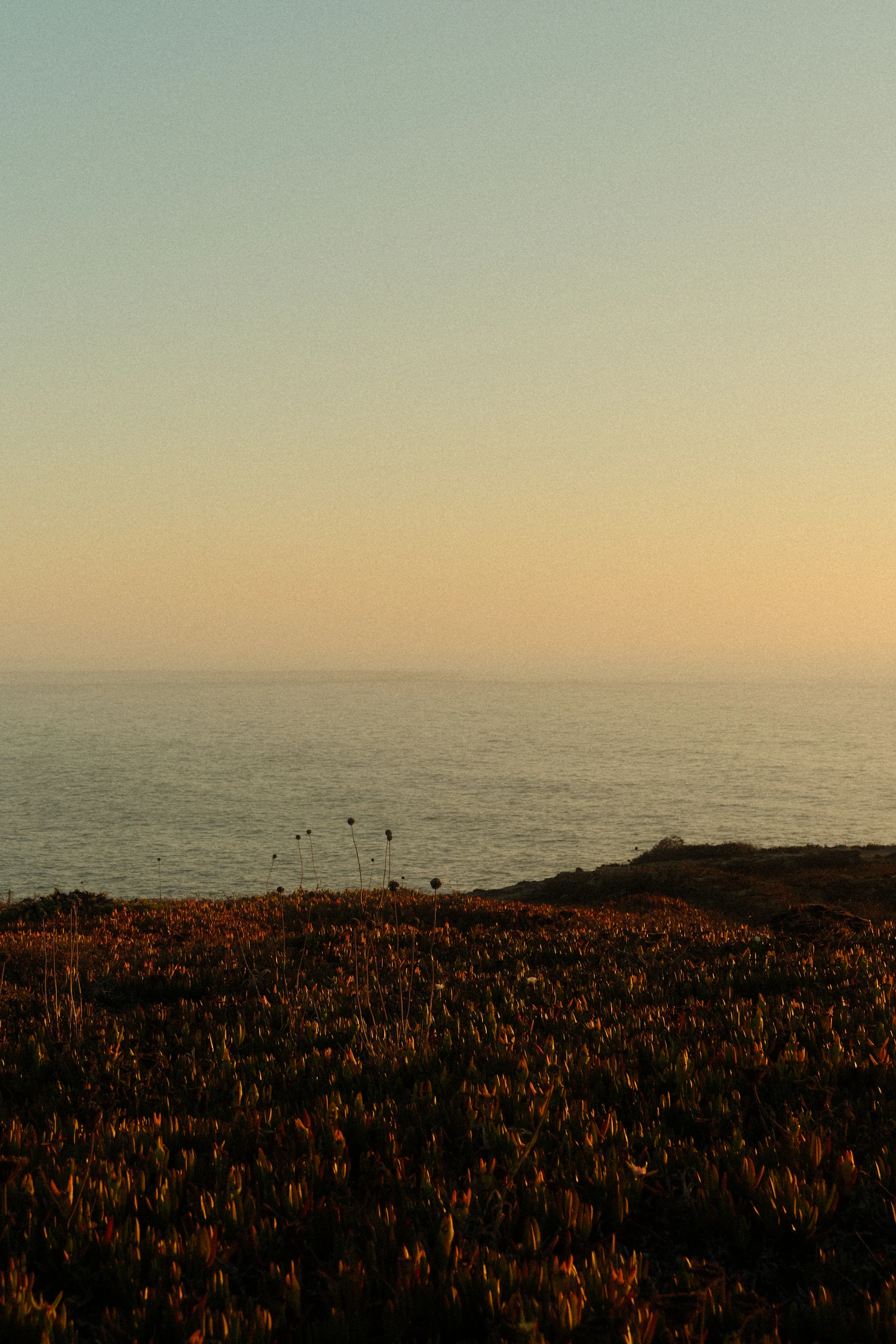 Cliffside coastline at sunset in the Algarve, Portugal — Casa Retreats Portugal 2027