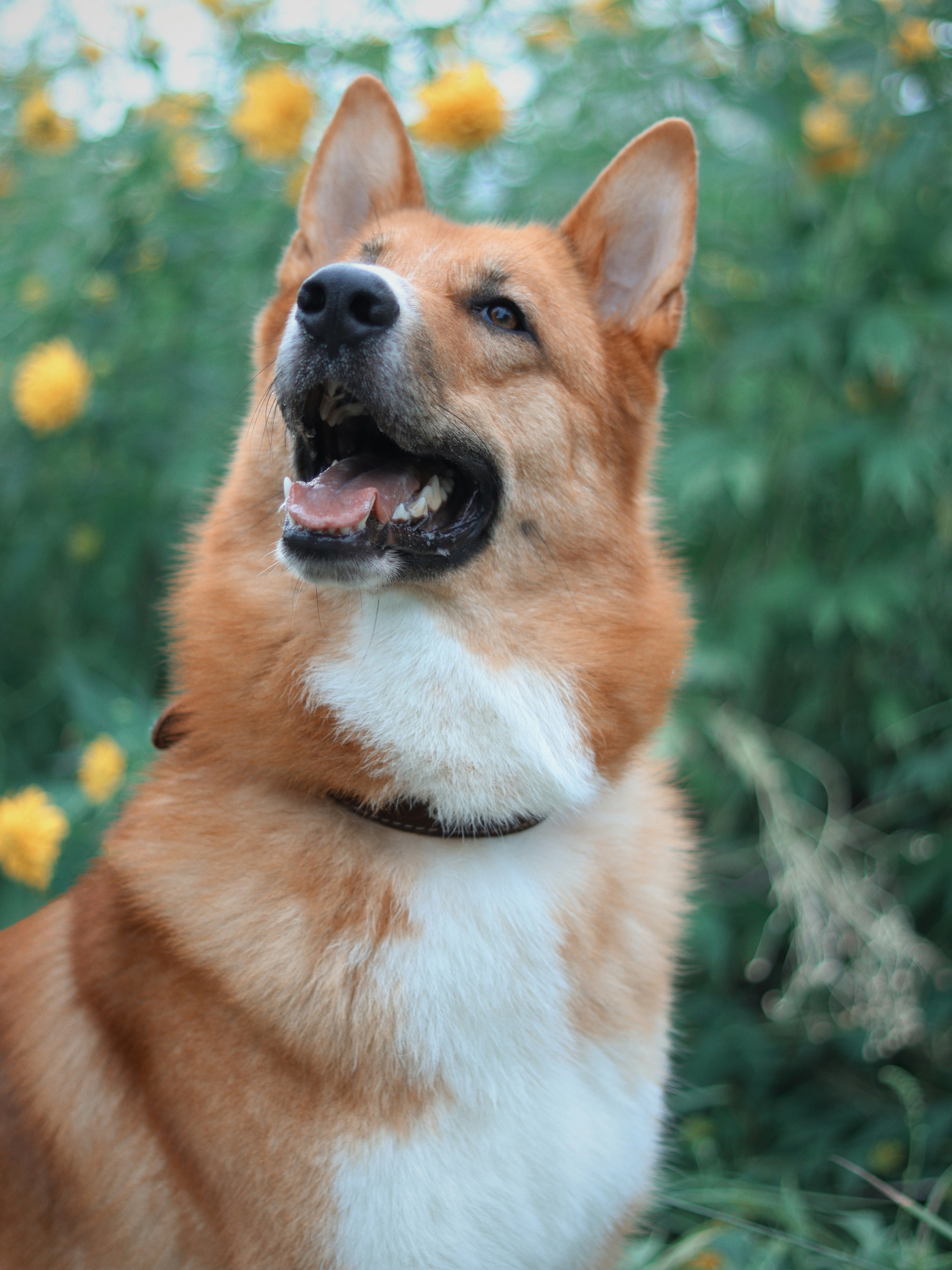 Photo by anotherxlife