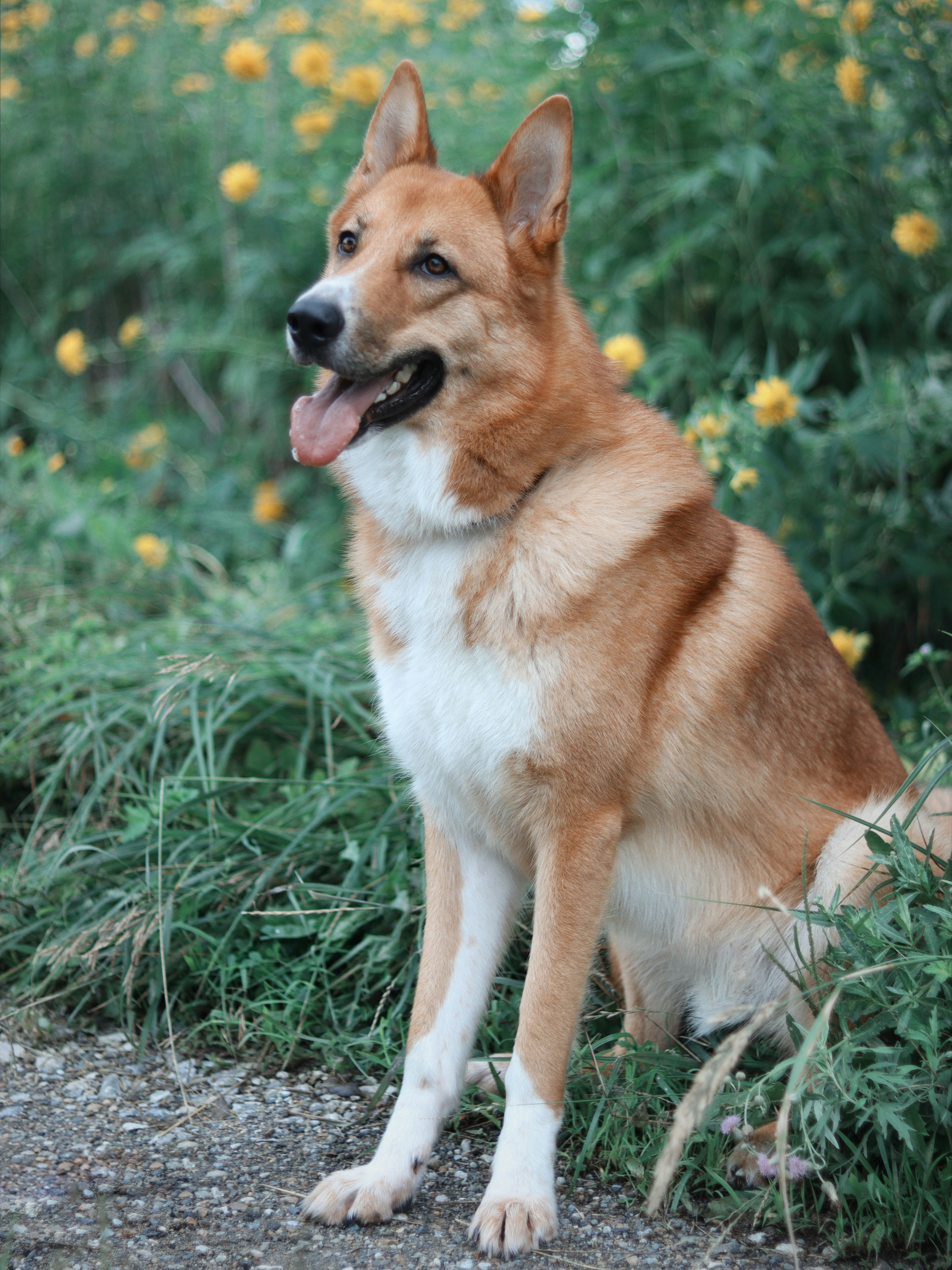 Photo by anotherxlife