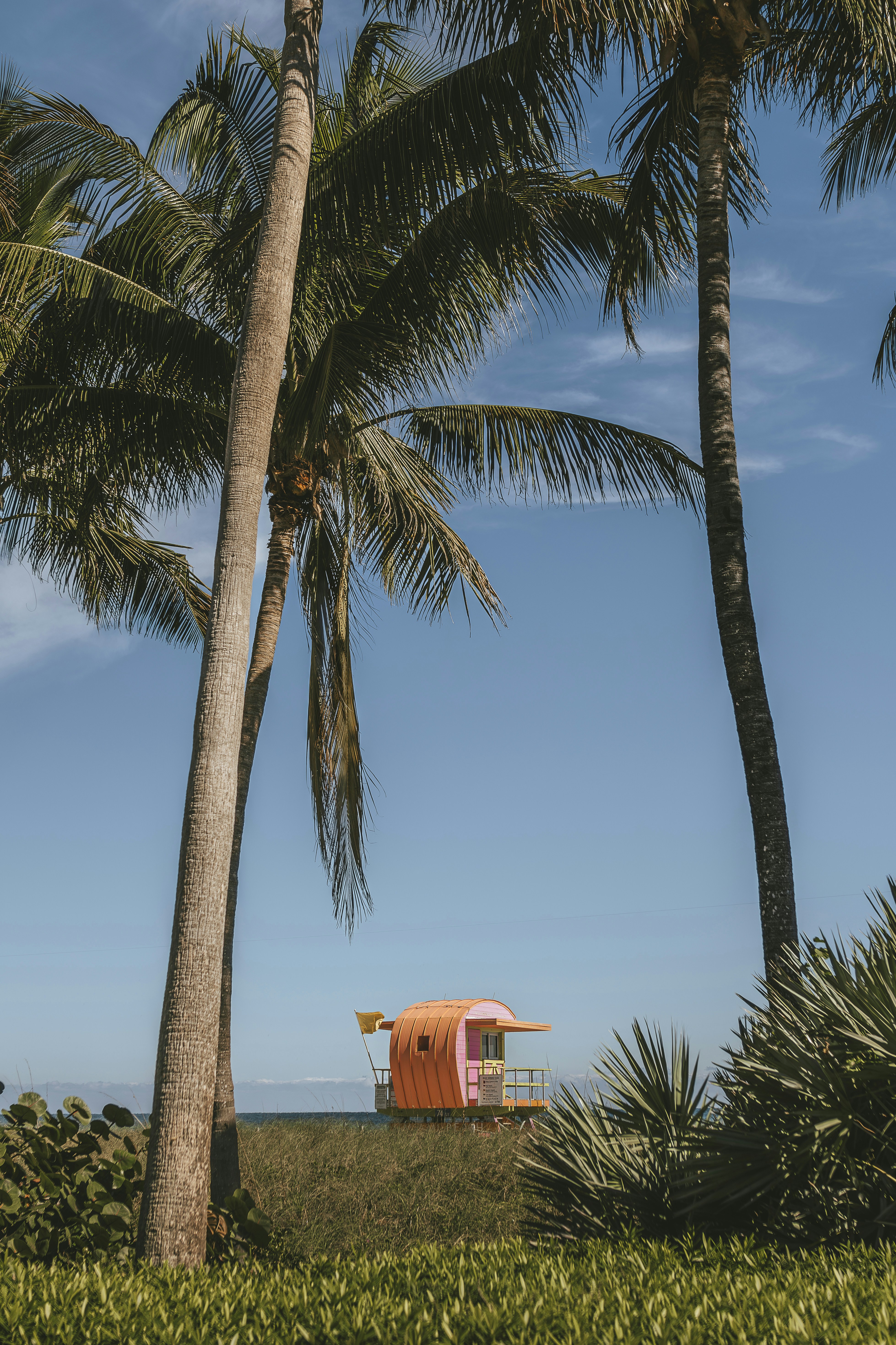 Photo by thatcreativeguy