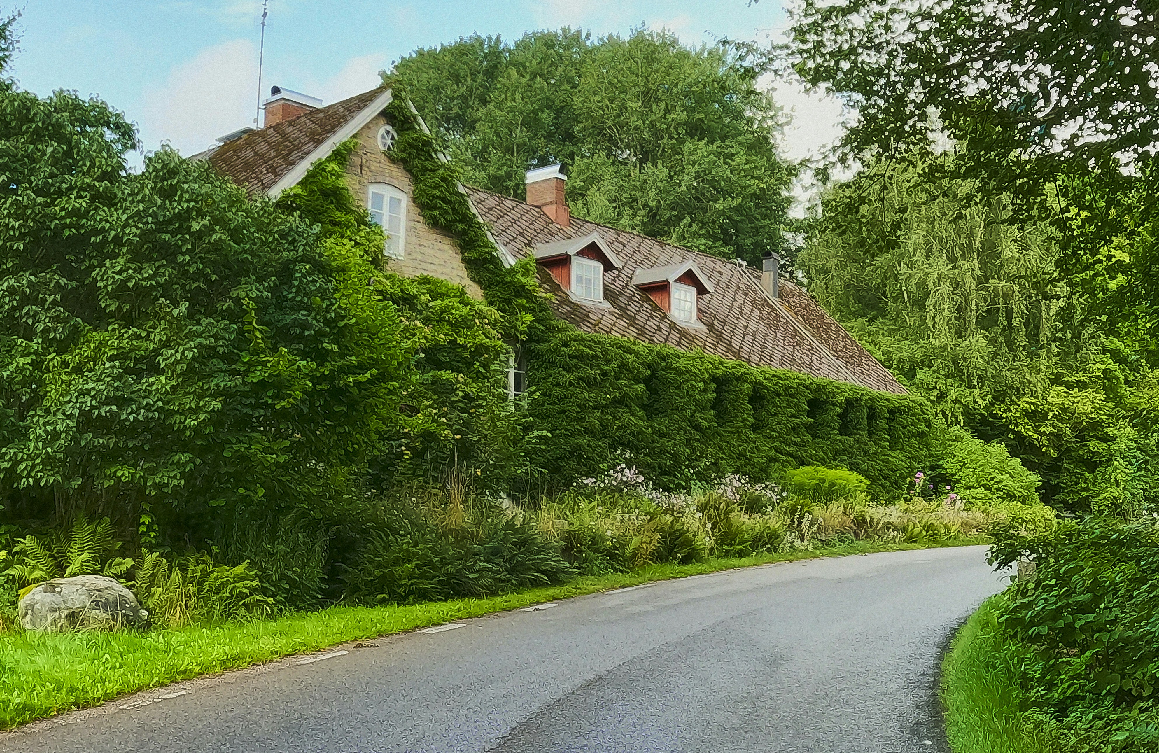 Eine Straße führt zu einem charmanten, efeubewachsenen Haus.