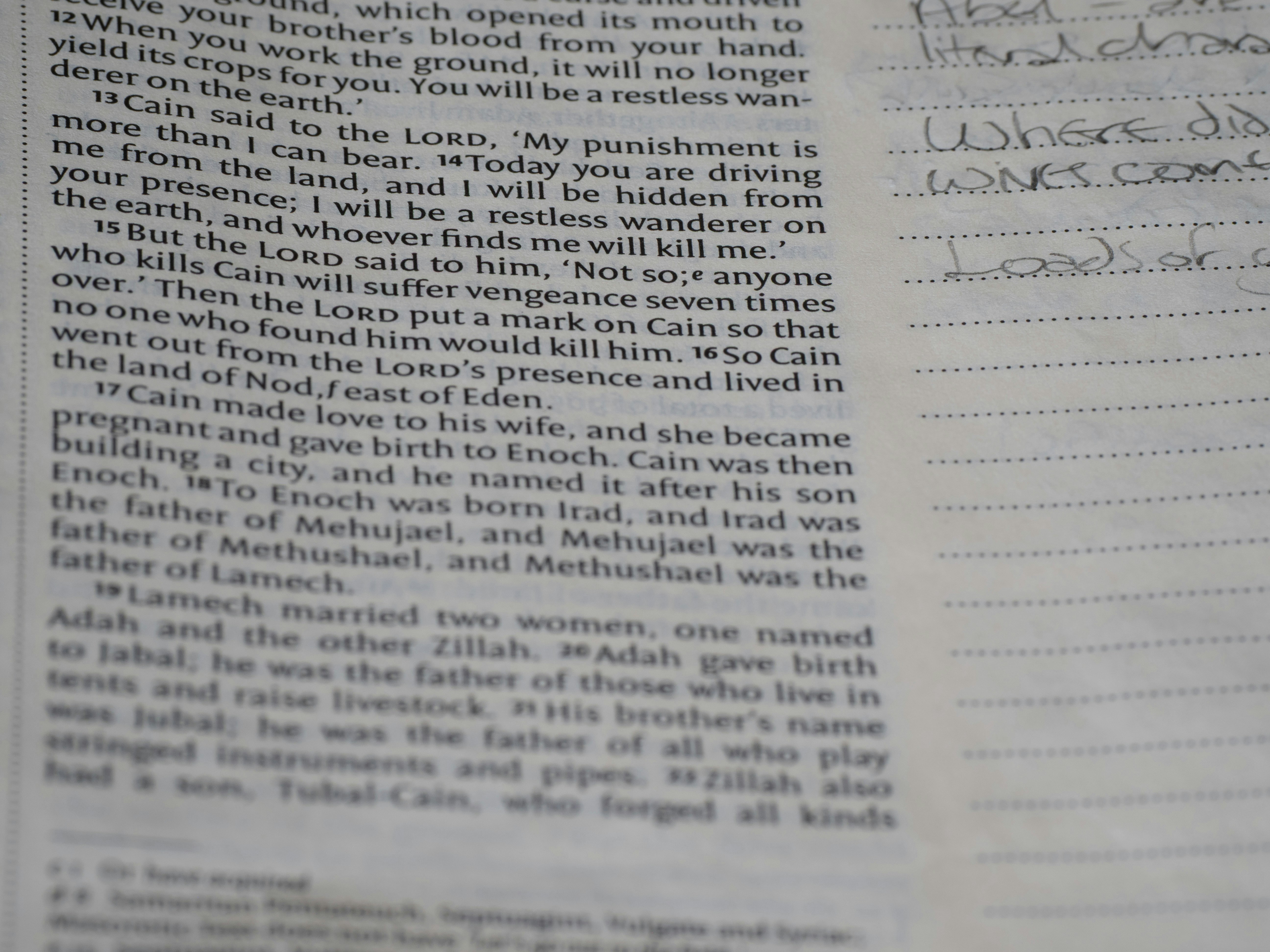 Photo by brett_jordan