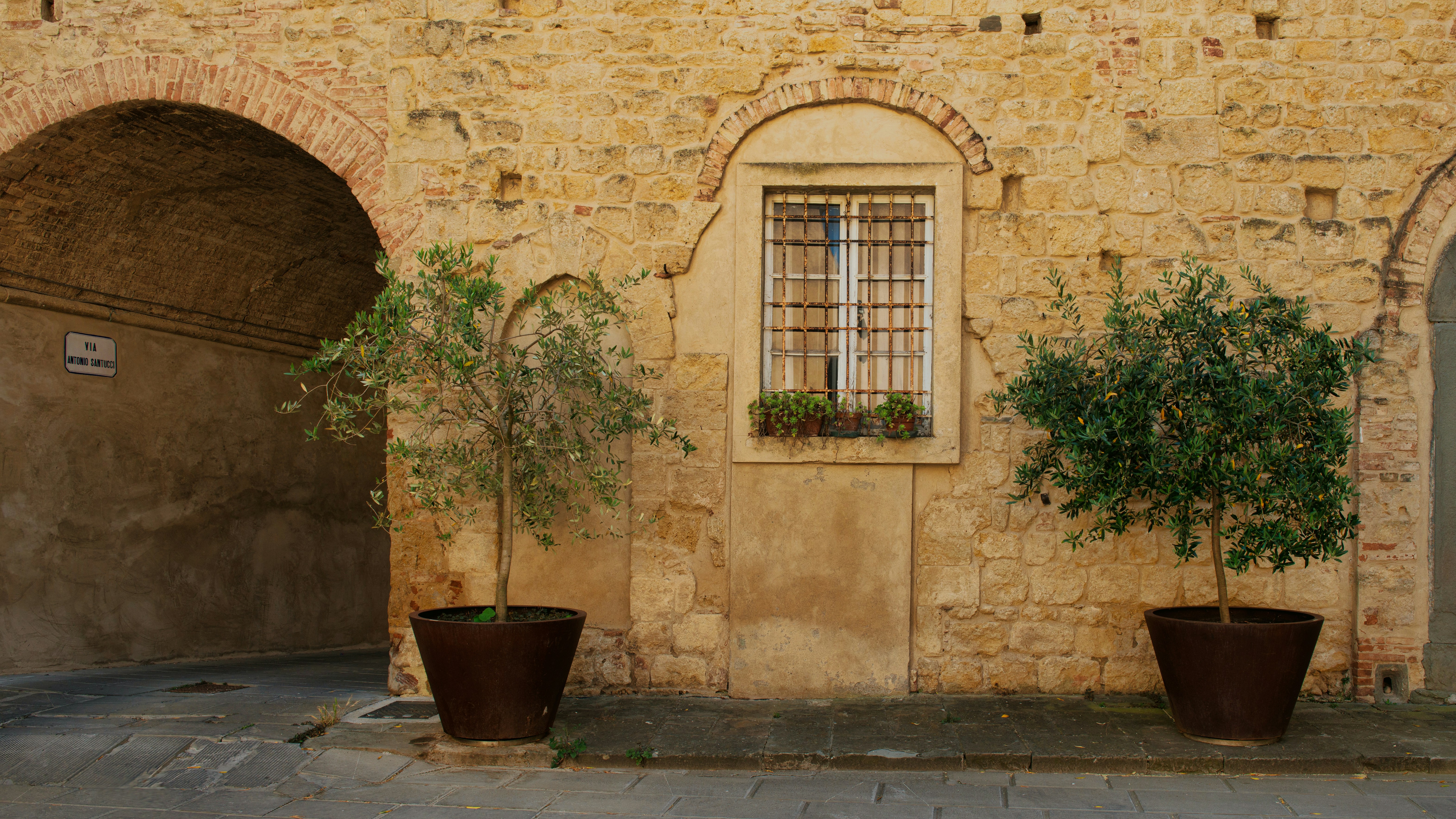 Photo by hamburgmeinefreundin