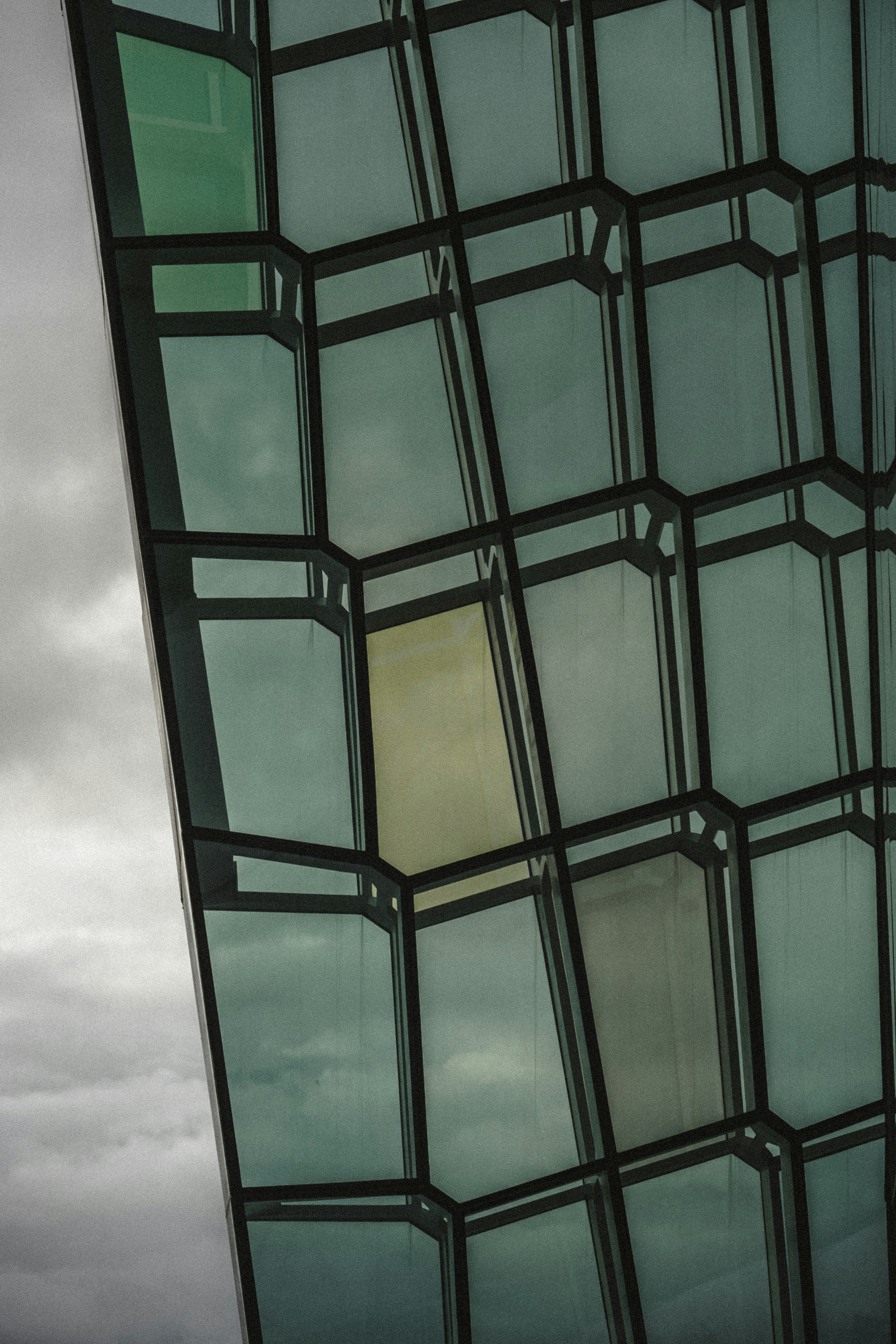 Photo by justmejuliee