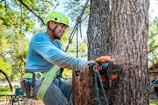 Arborist uses a chainsaw to cut a tree.