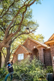 A tree service worker is trimming a large tree in Chanhassen, MN.