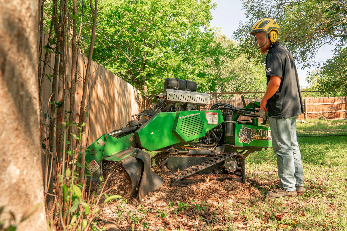 Crew member operating a stump grinder on a residential lawn