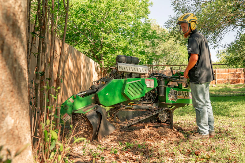 Worker operating a stump grinder to remove a tree stump in a backyard