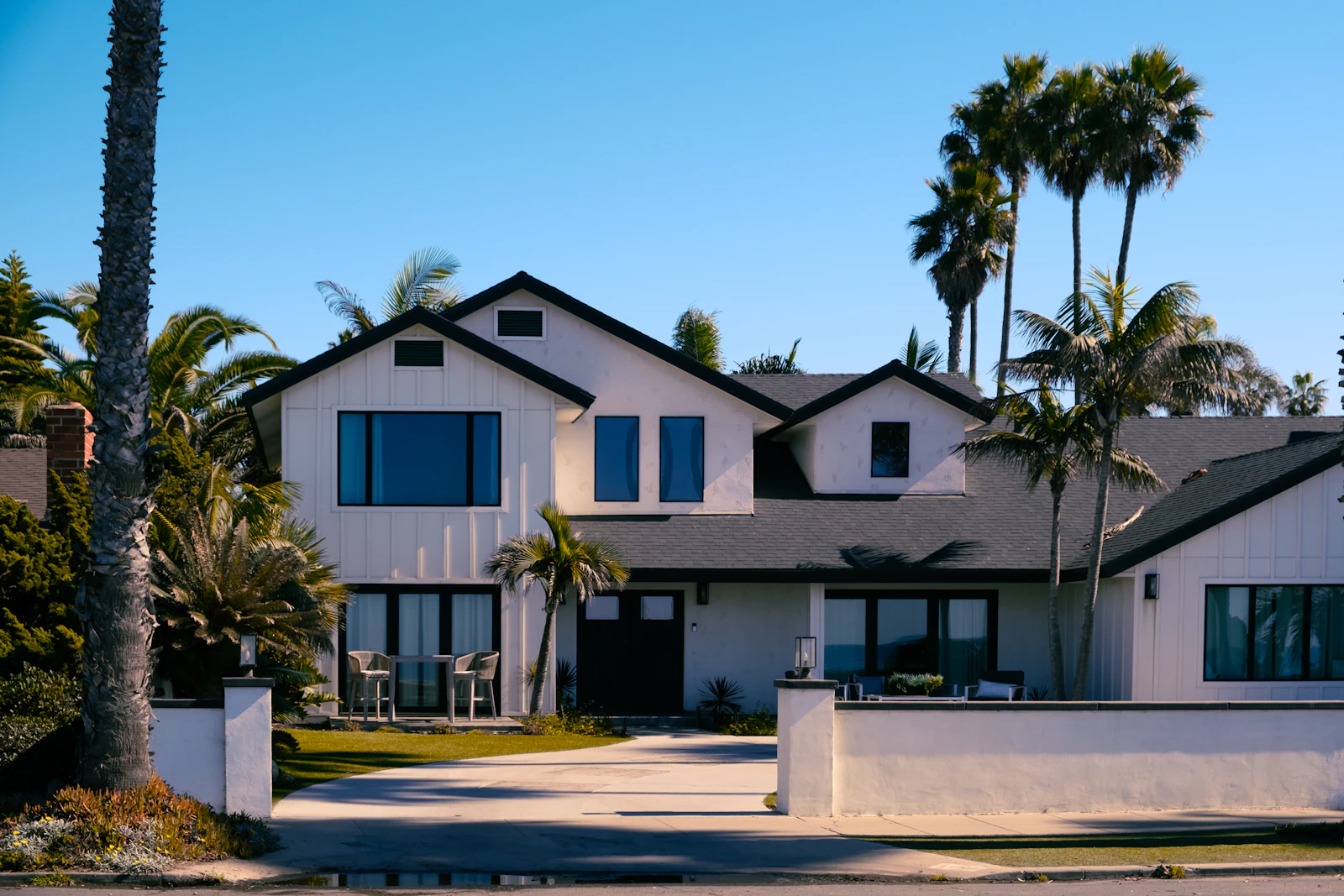 White family home with palm trees