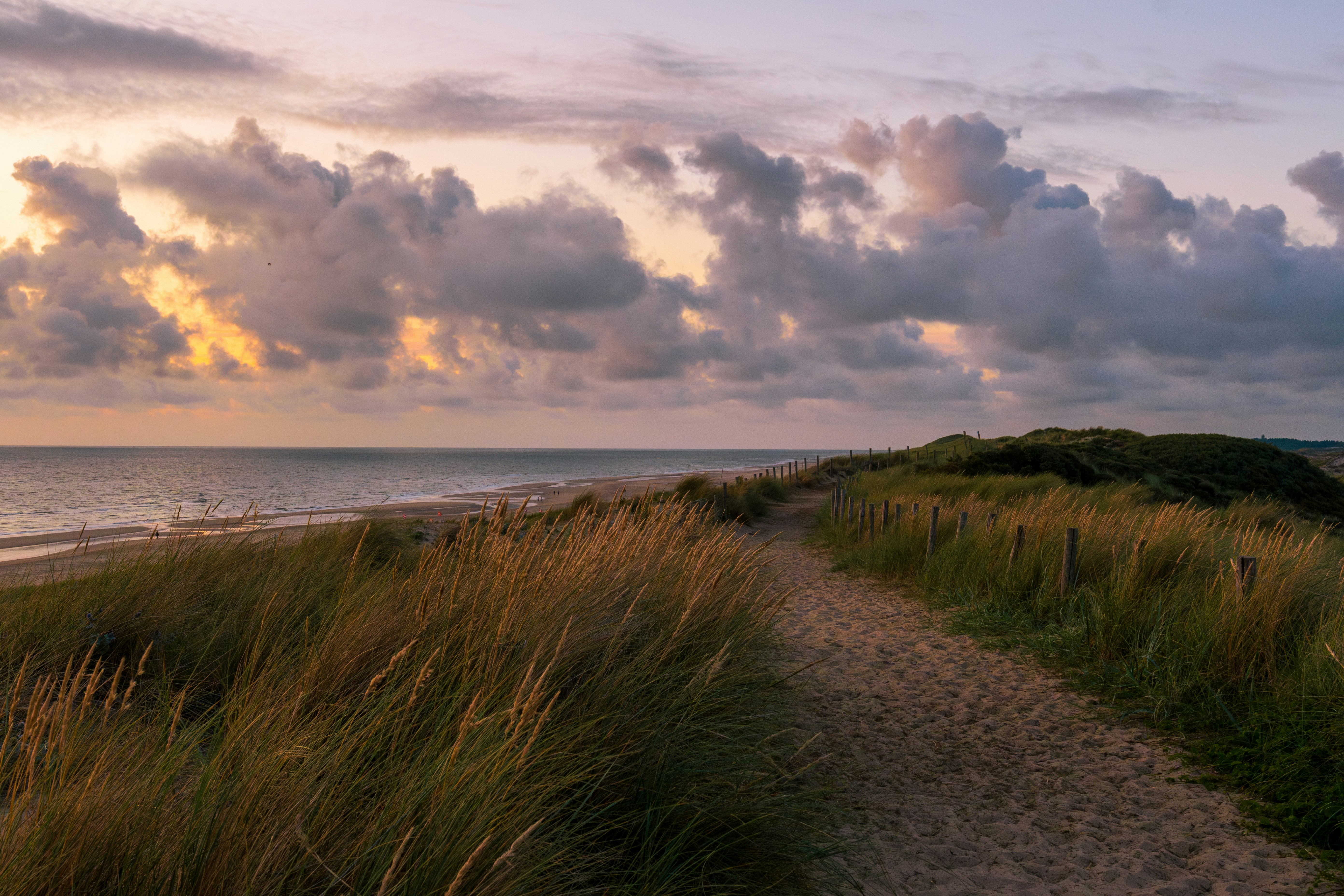 Sentiero delle dune e oceano sotto un tramonto nuvoloso.
