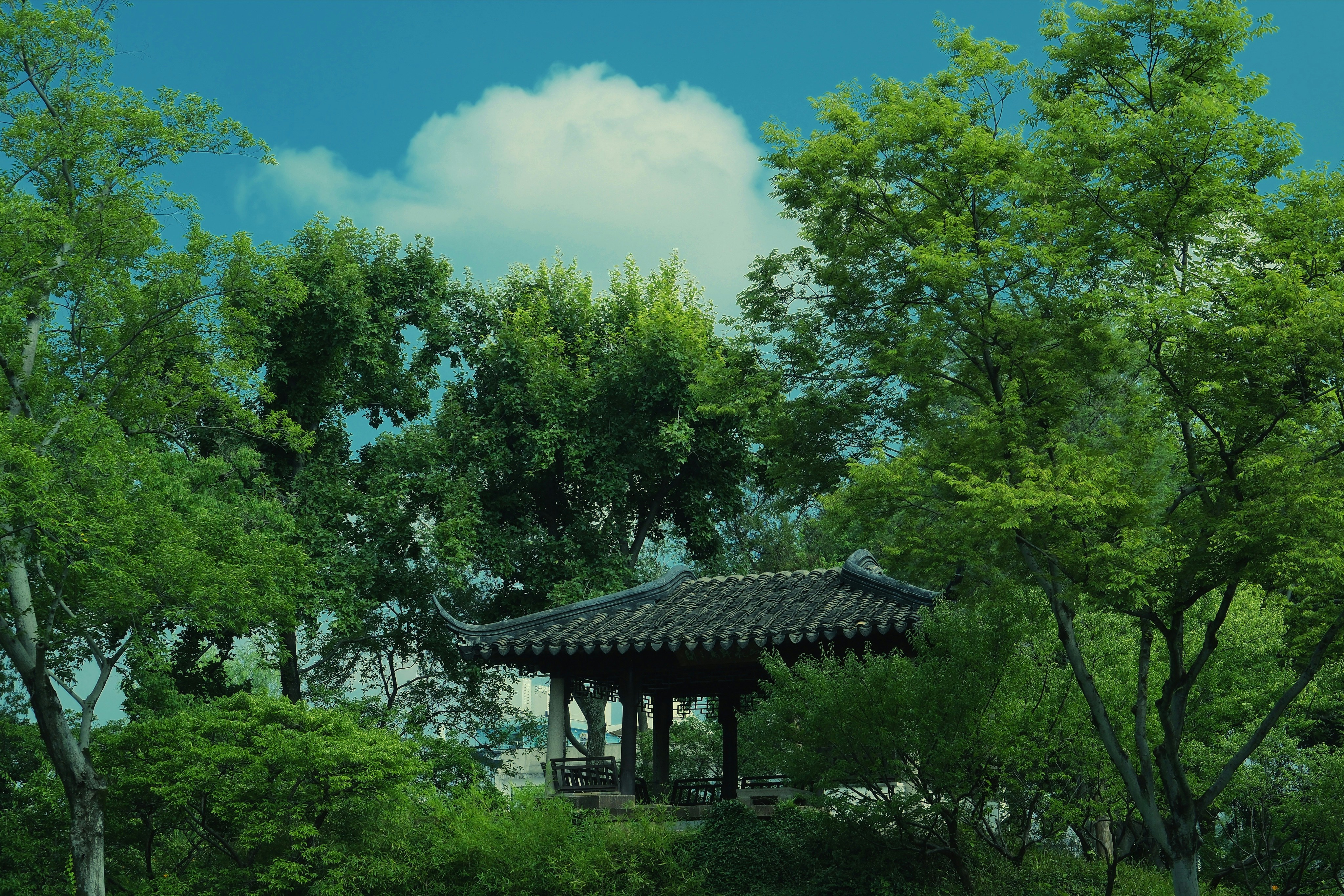 A pavilion sits amidst lush greenery.
