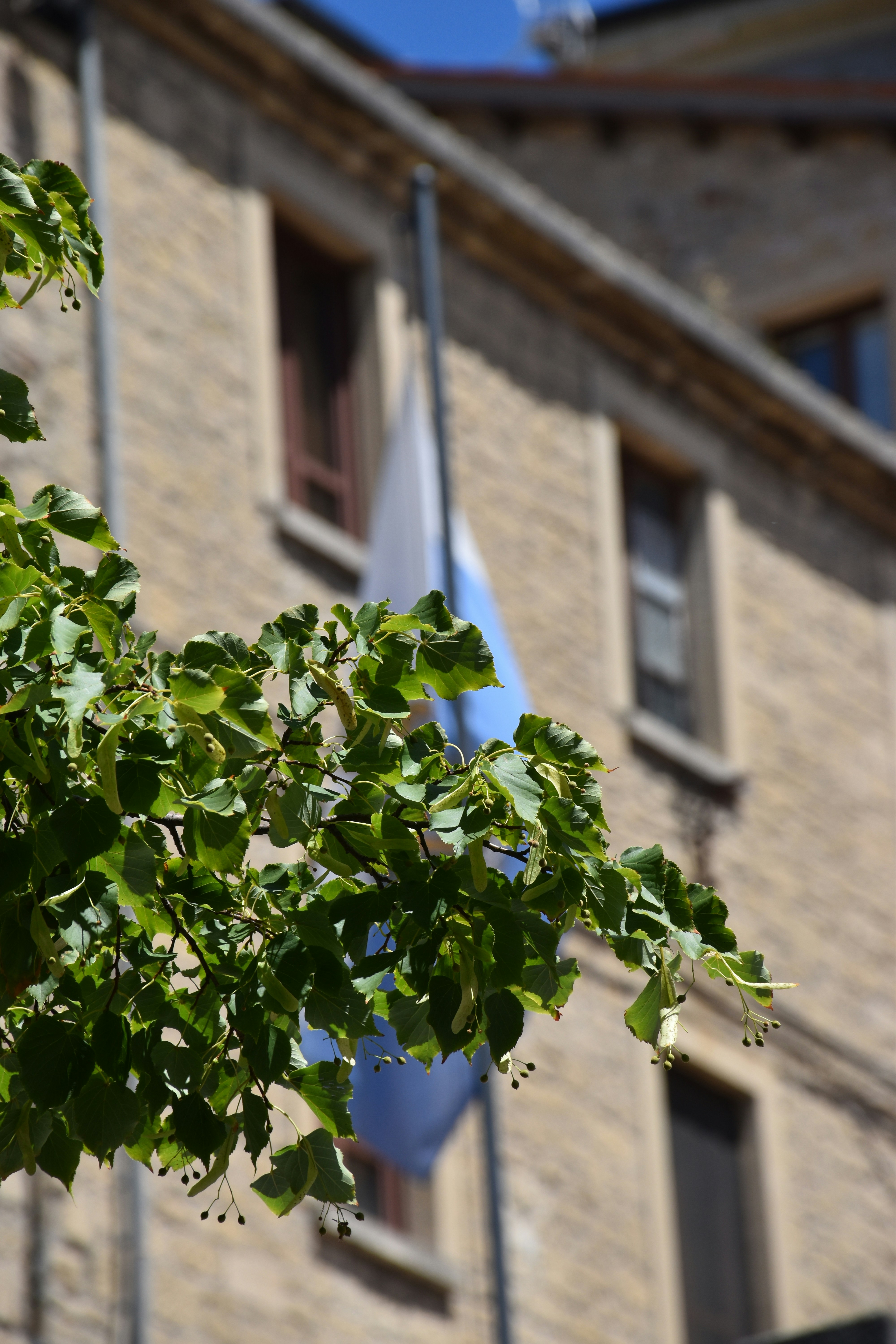 Photo by feketenimrod