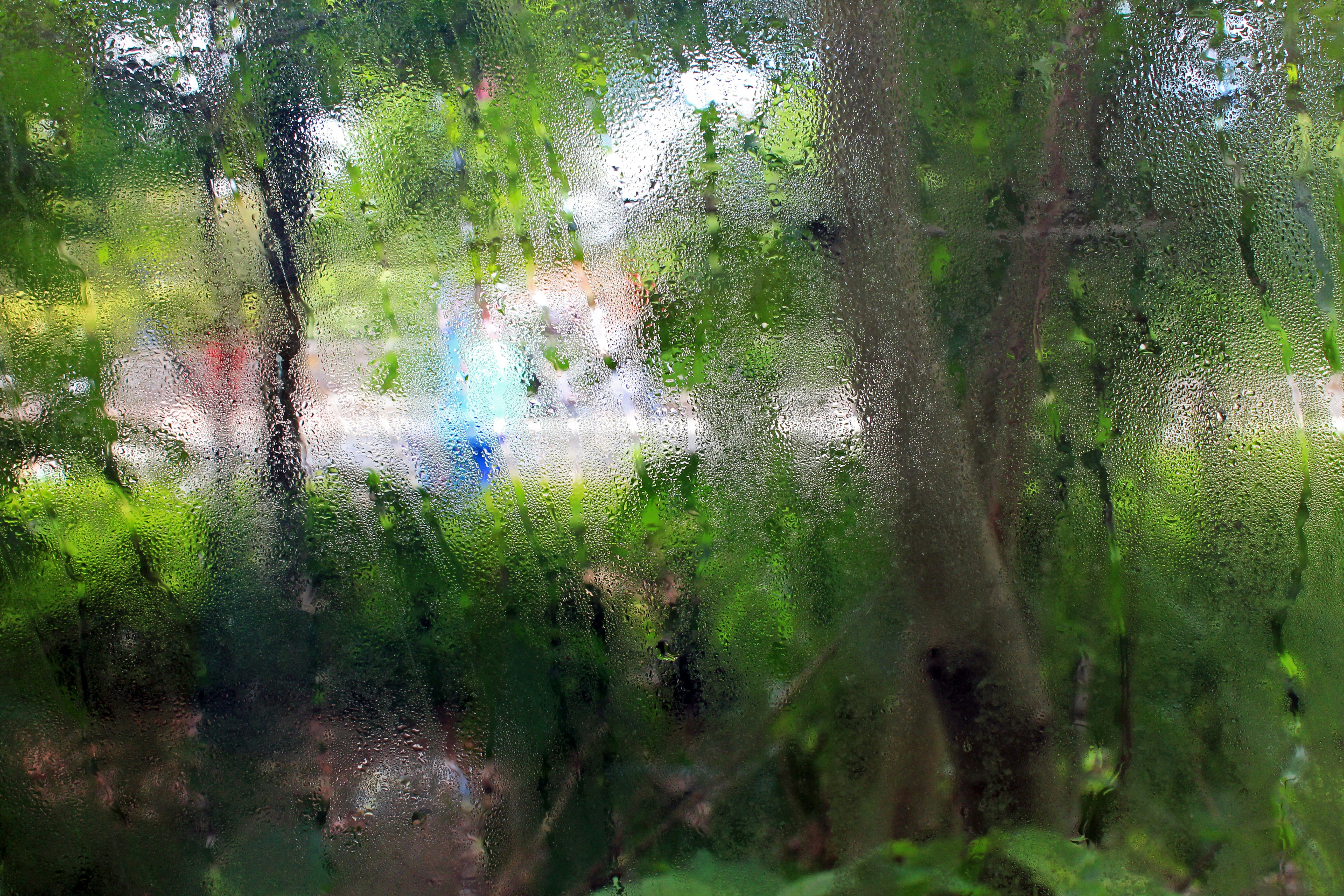 Photo by john_cardamone