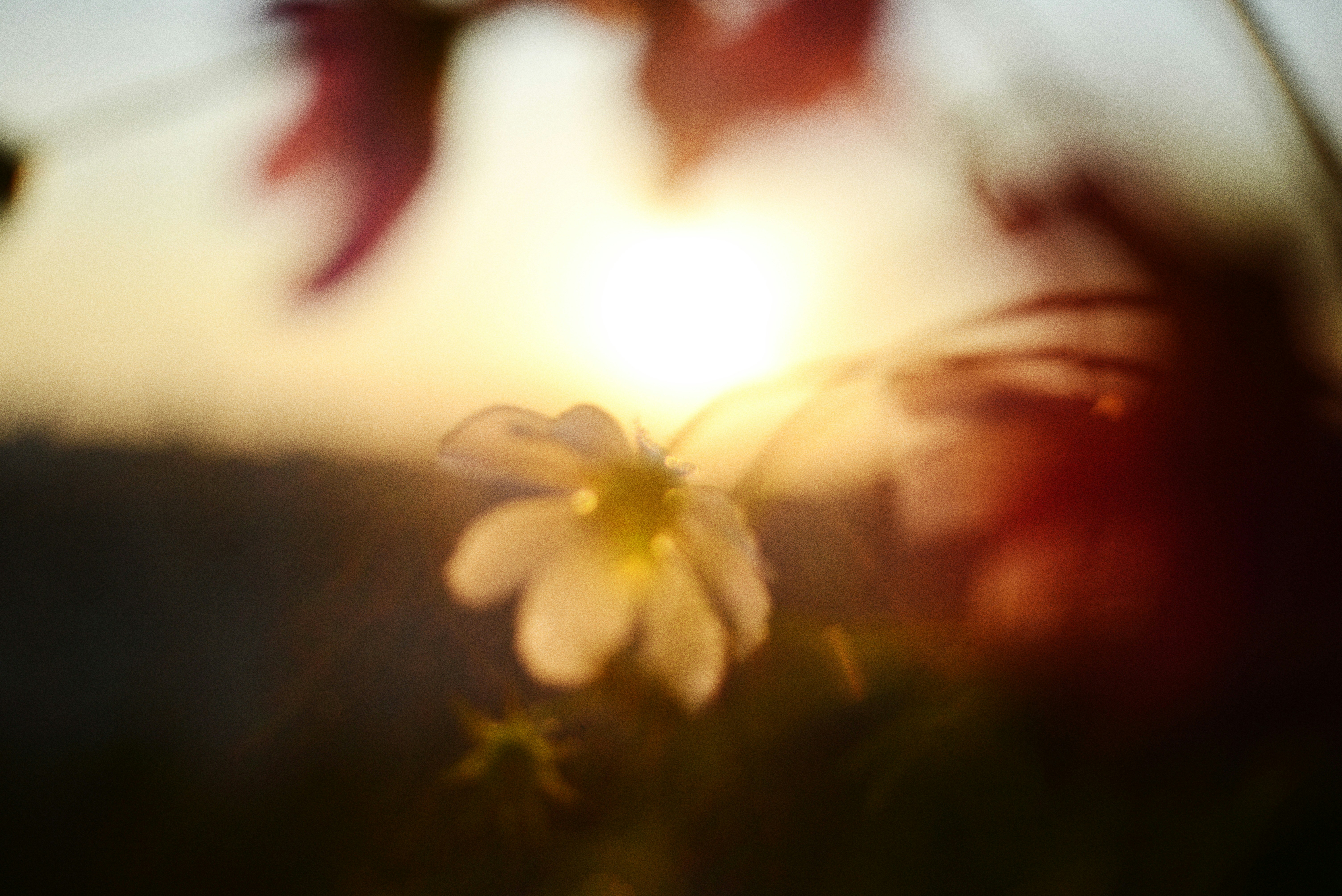 Photo by cherstve_pechivo