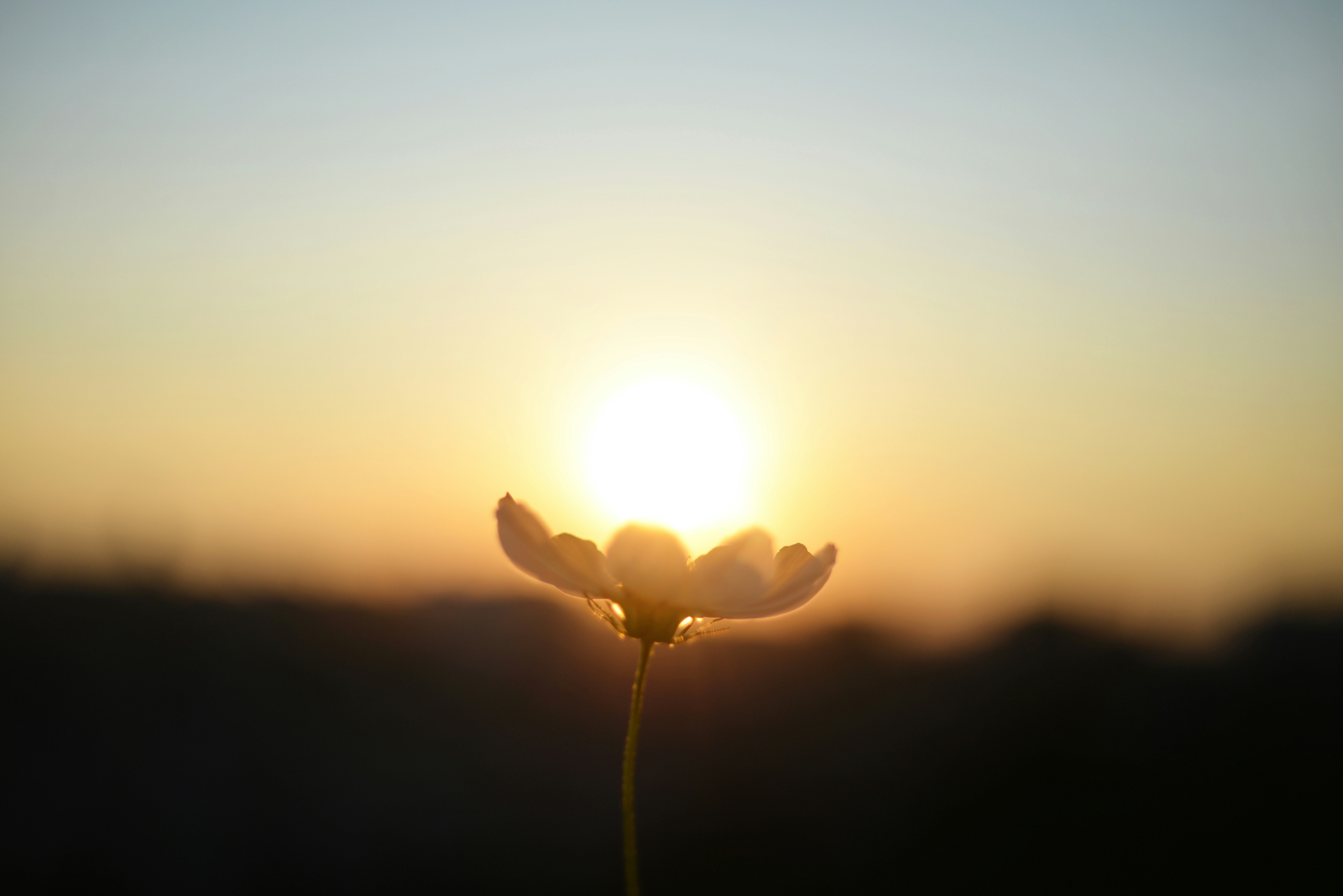 Photo by cherstve_pechivo