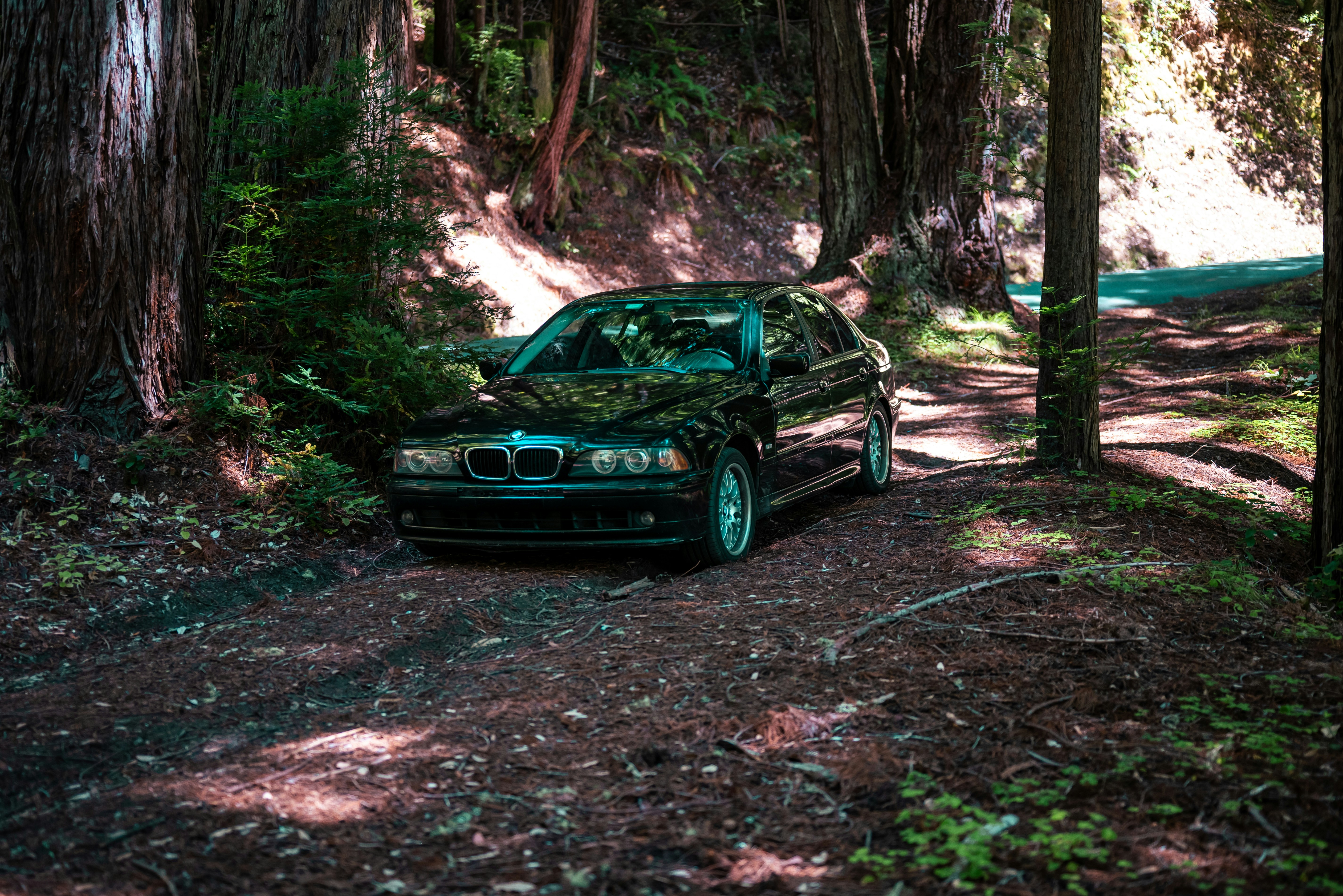 Photo by shootingtyre