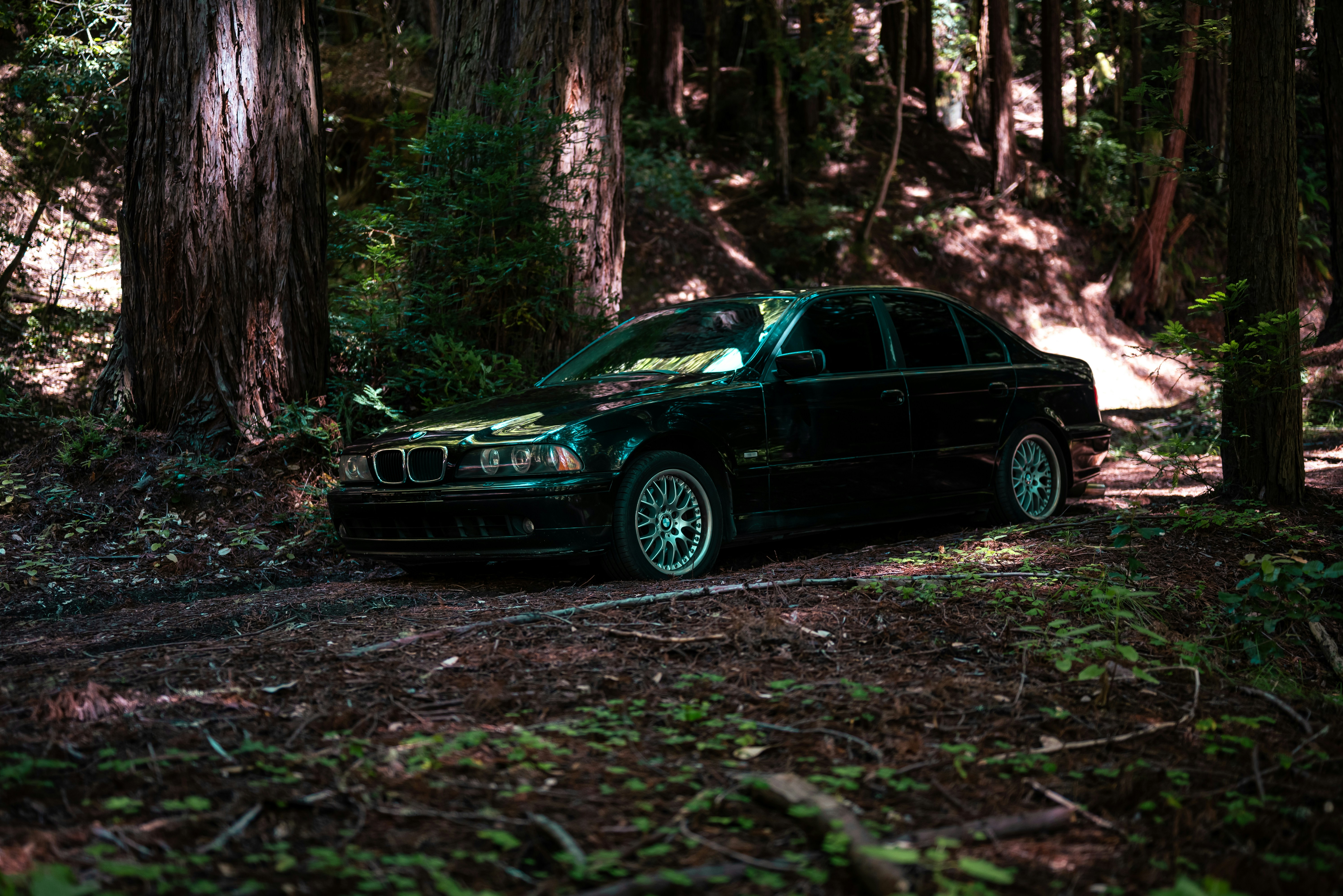 Photo by shootingtyre