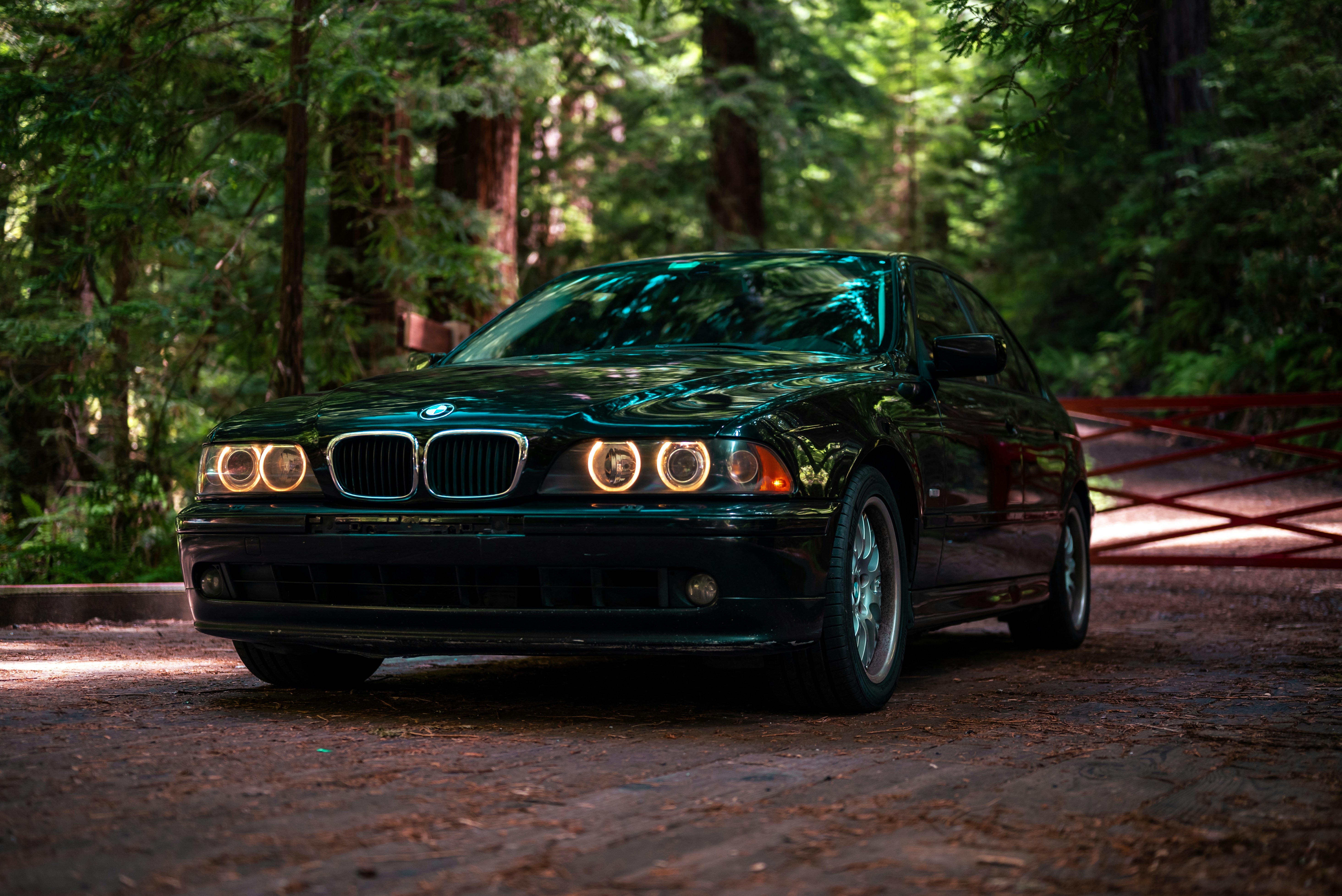 Photo by shootingtyre