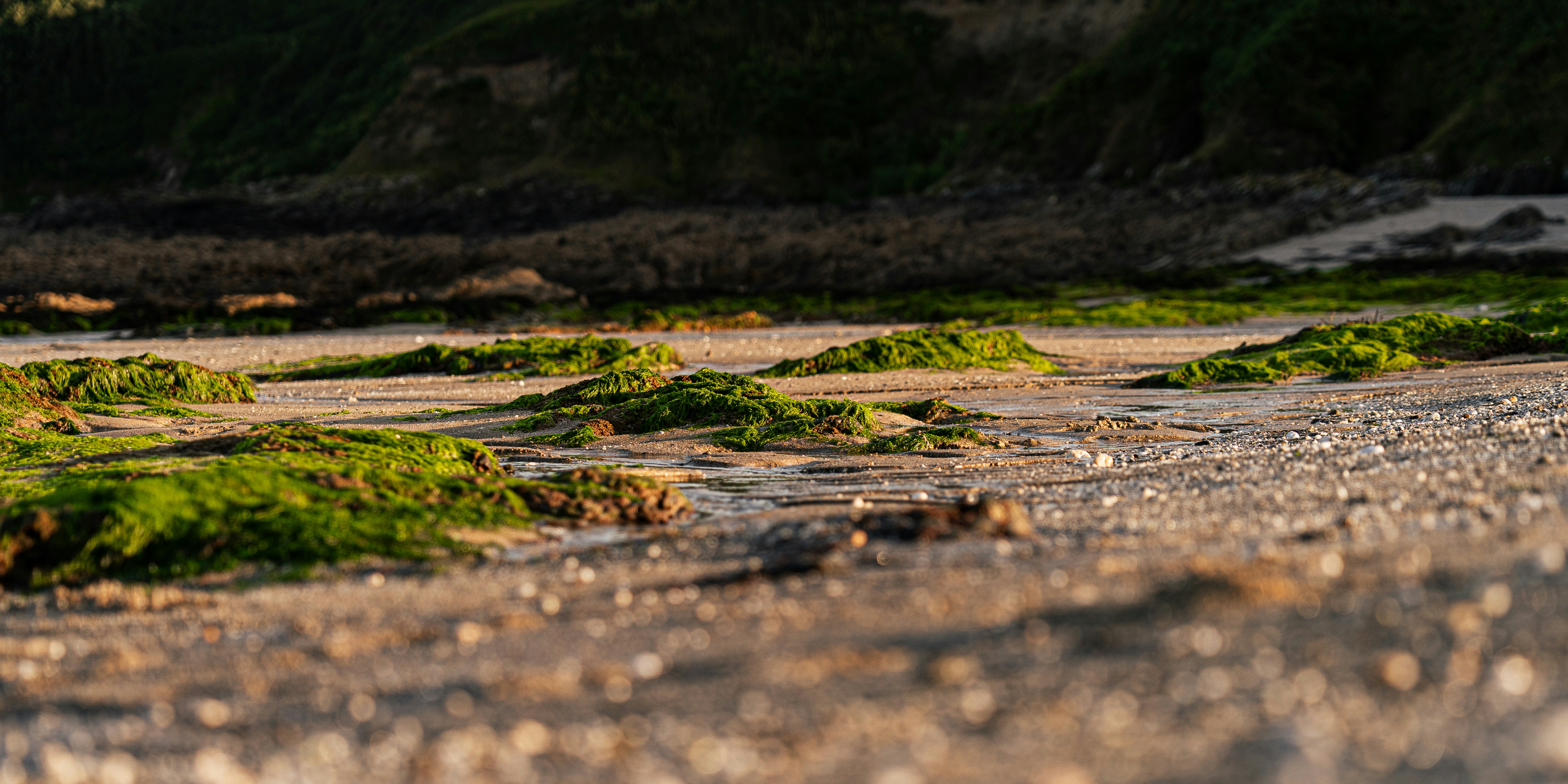 Photo by samuel_hagger