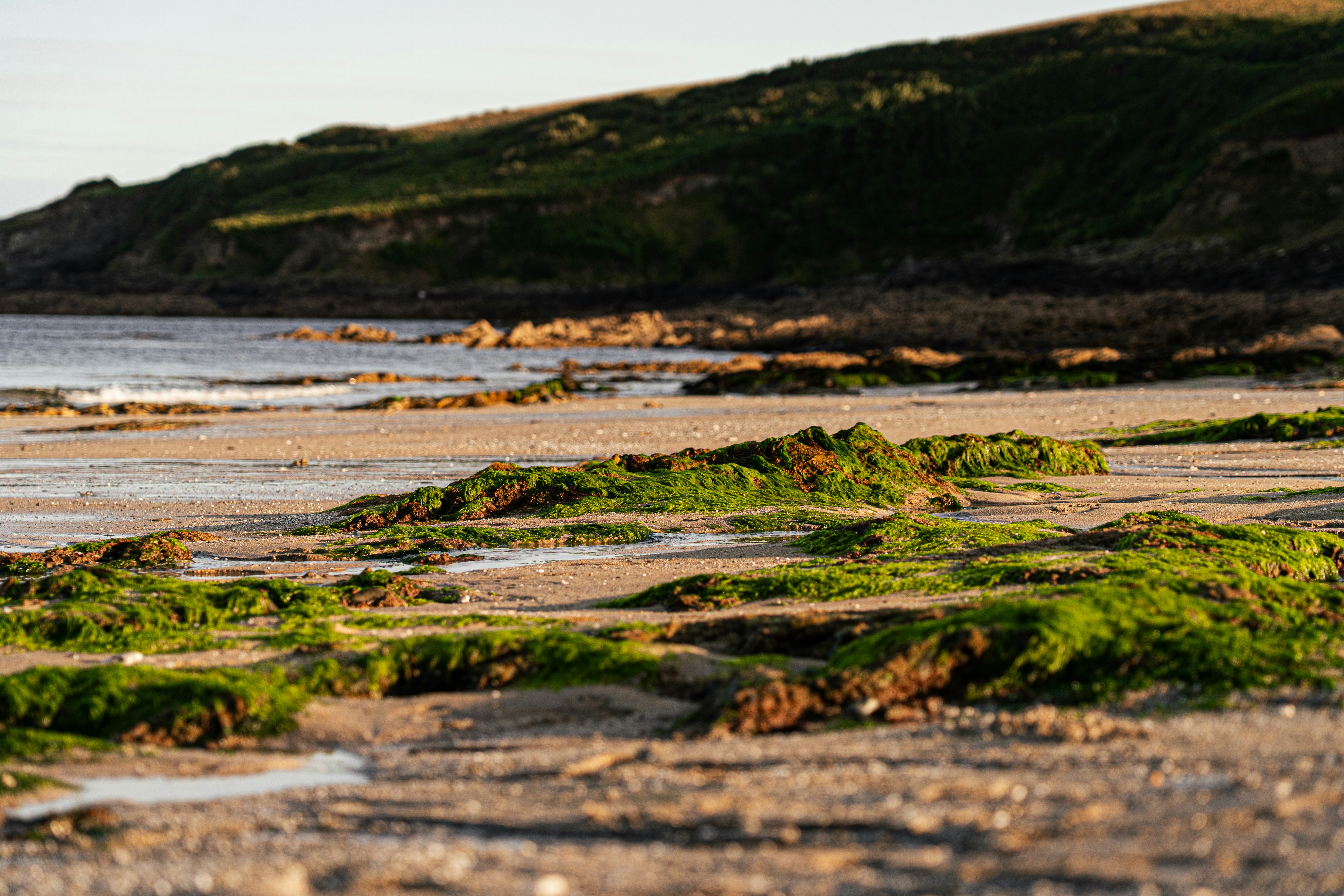 Photo by samuel_hagger