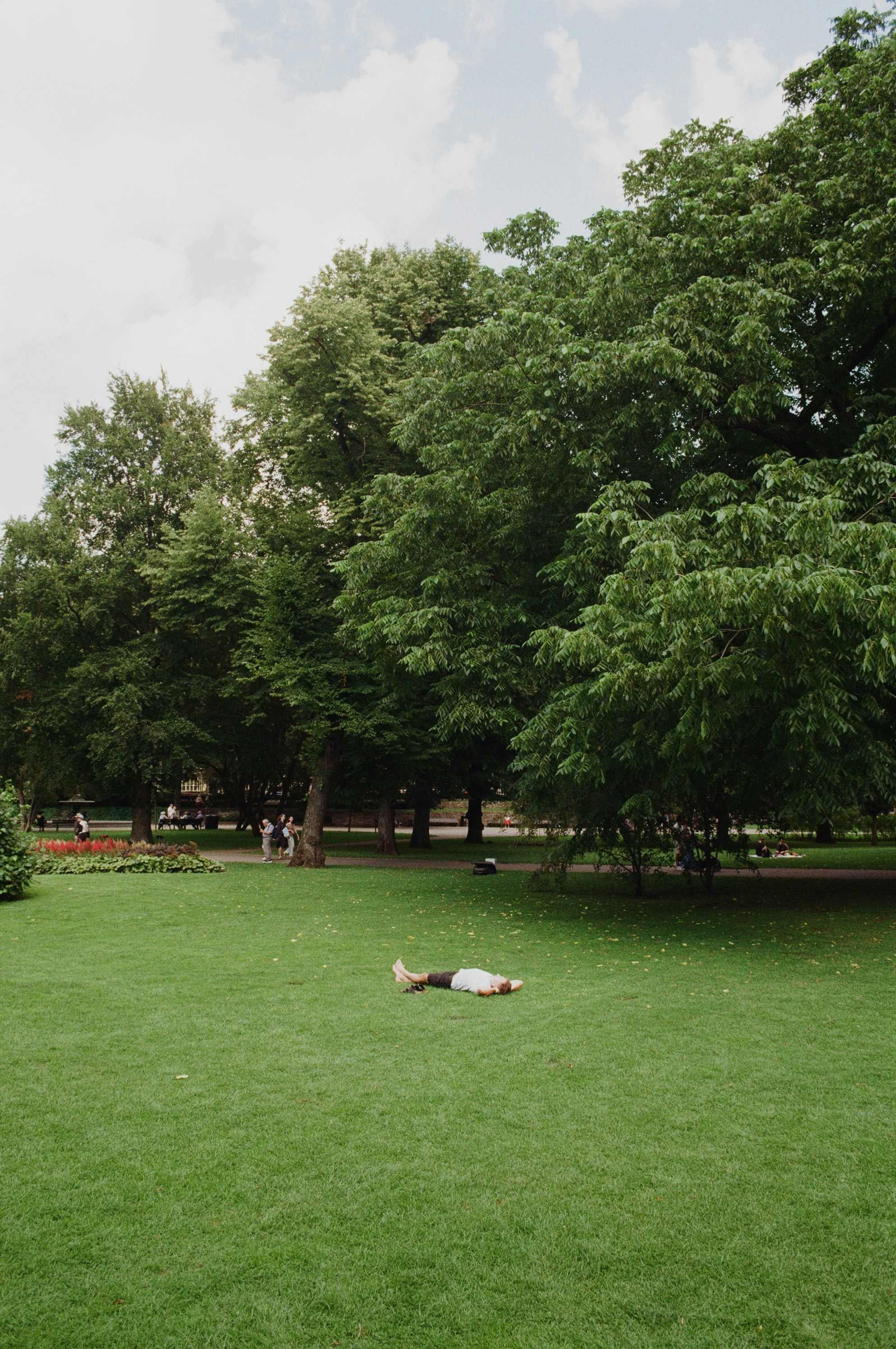 Photo by jo_negatives