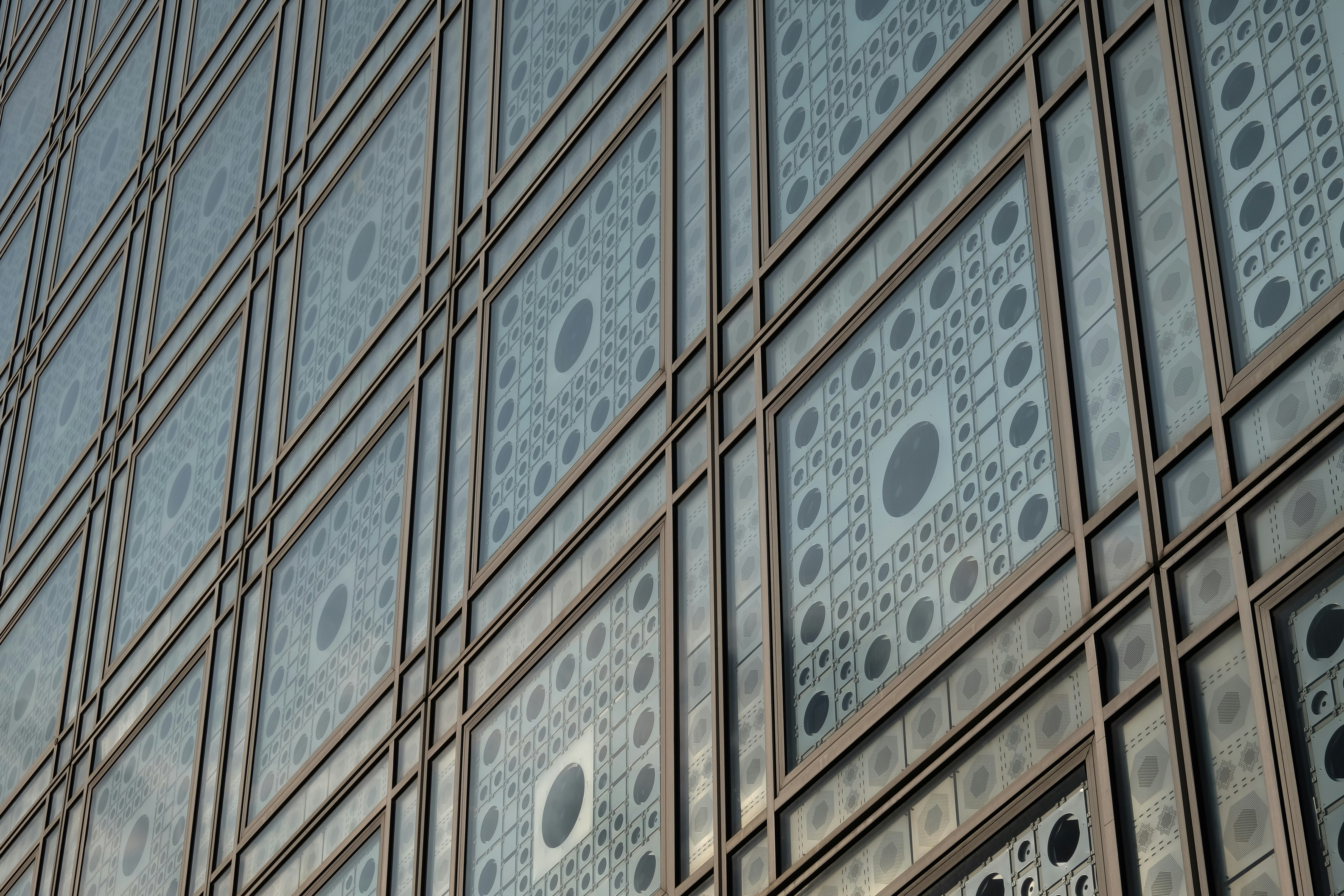 Photo by dariobertolino