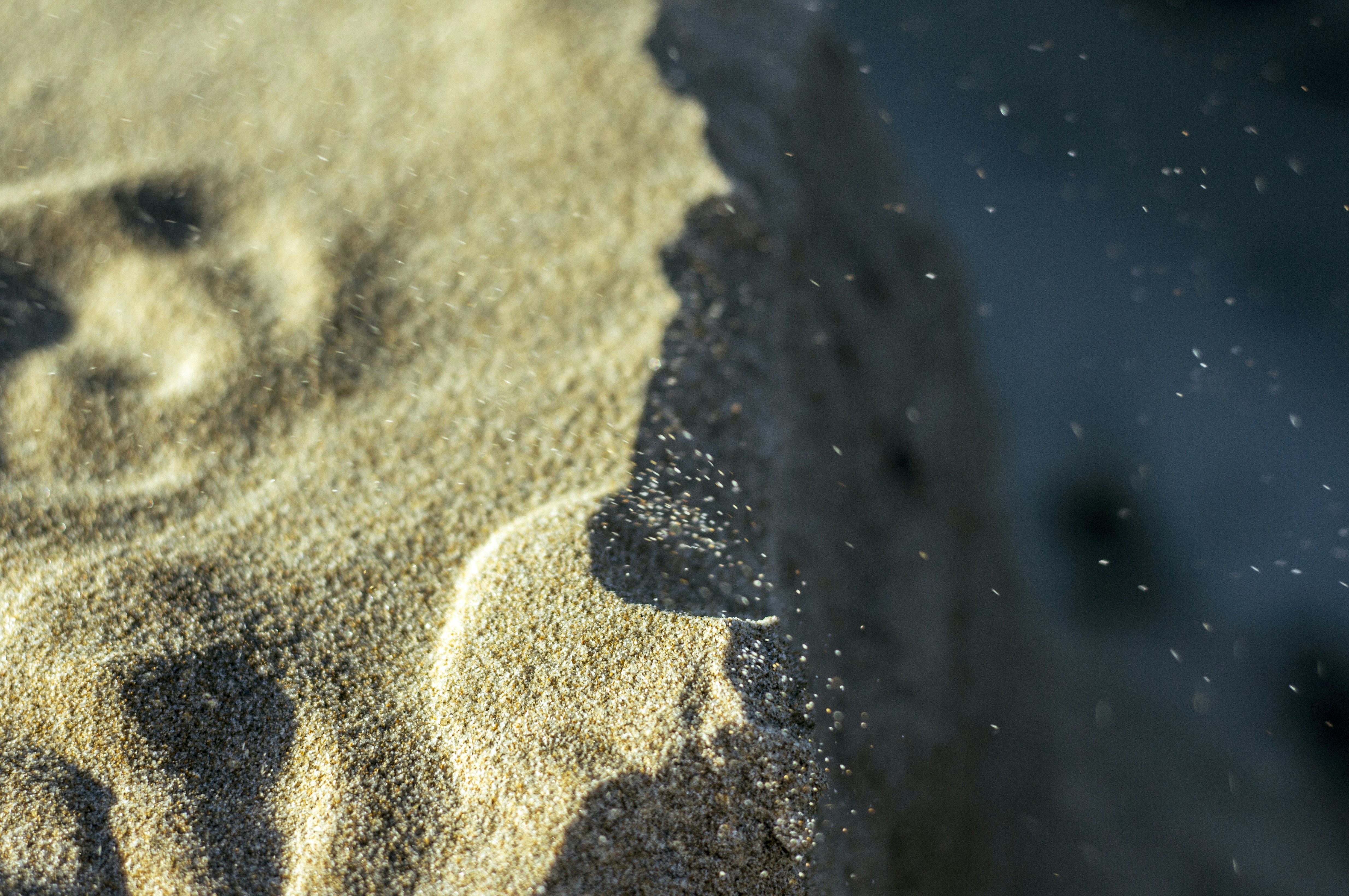 Photo by stealthygripen