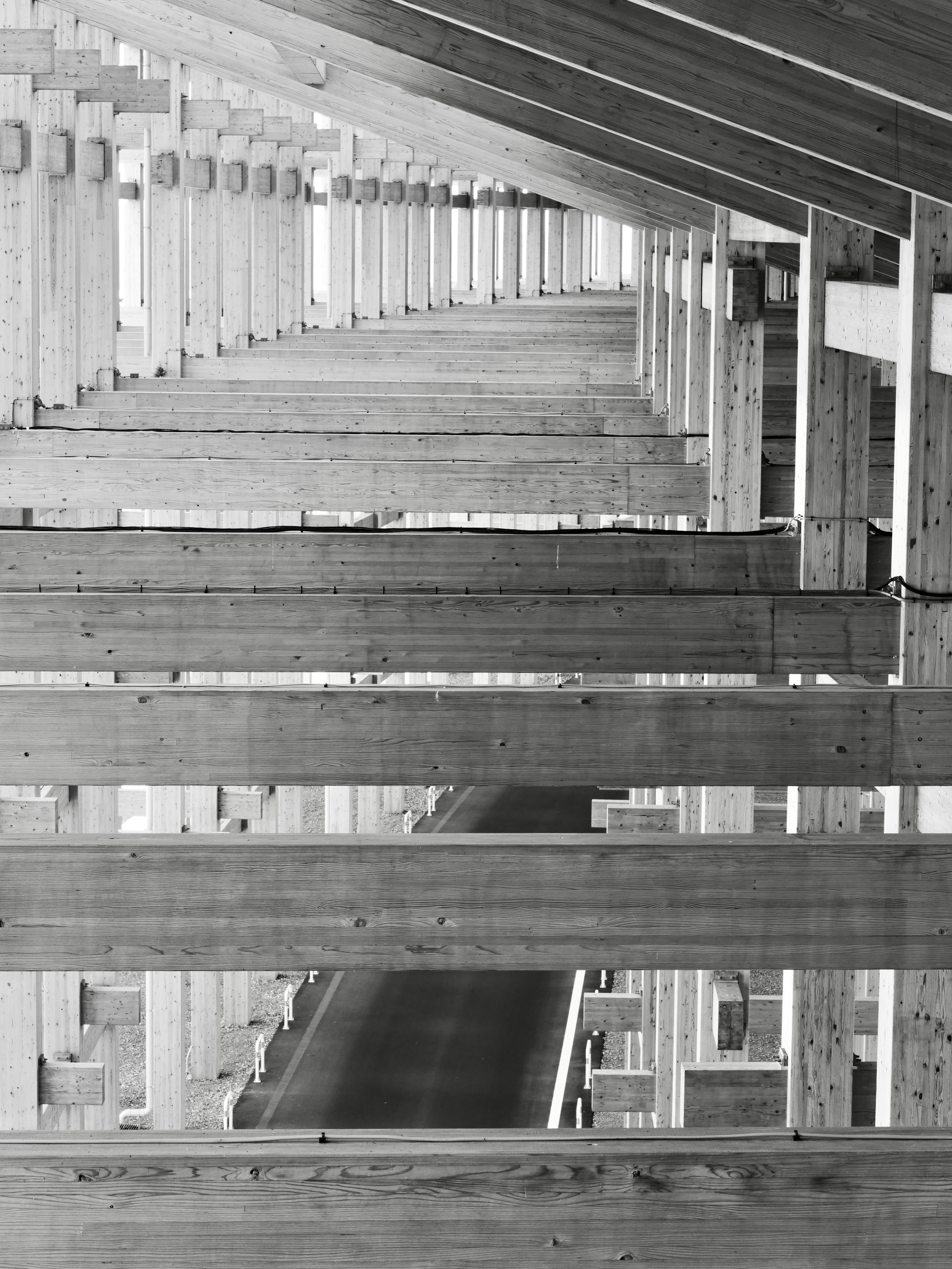 Photo by sschusterphotoart