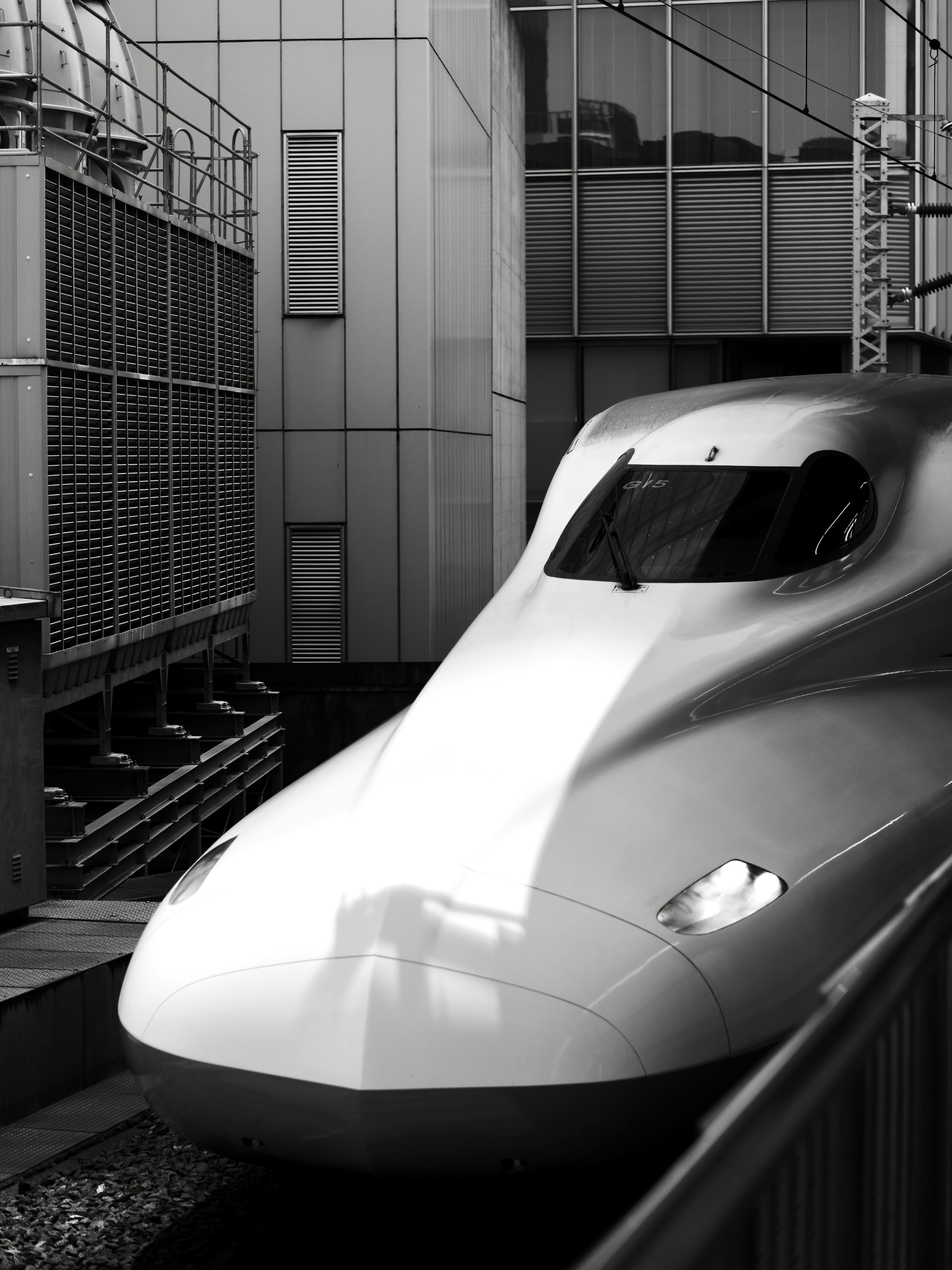 Photo by sschusterphotoart