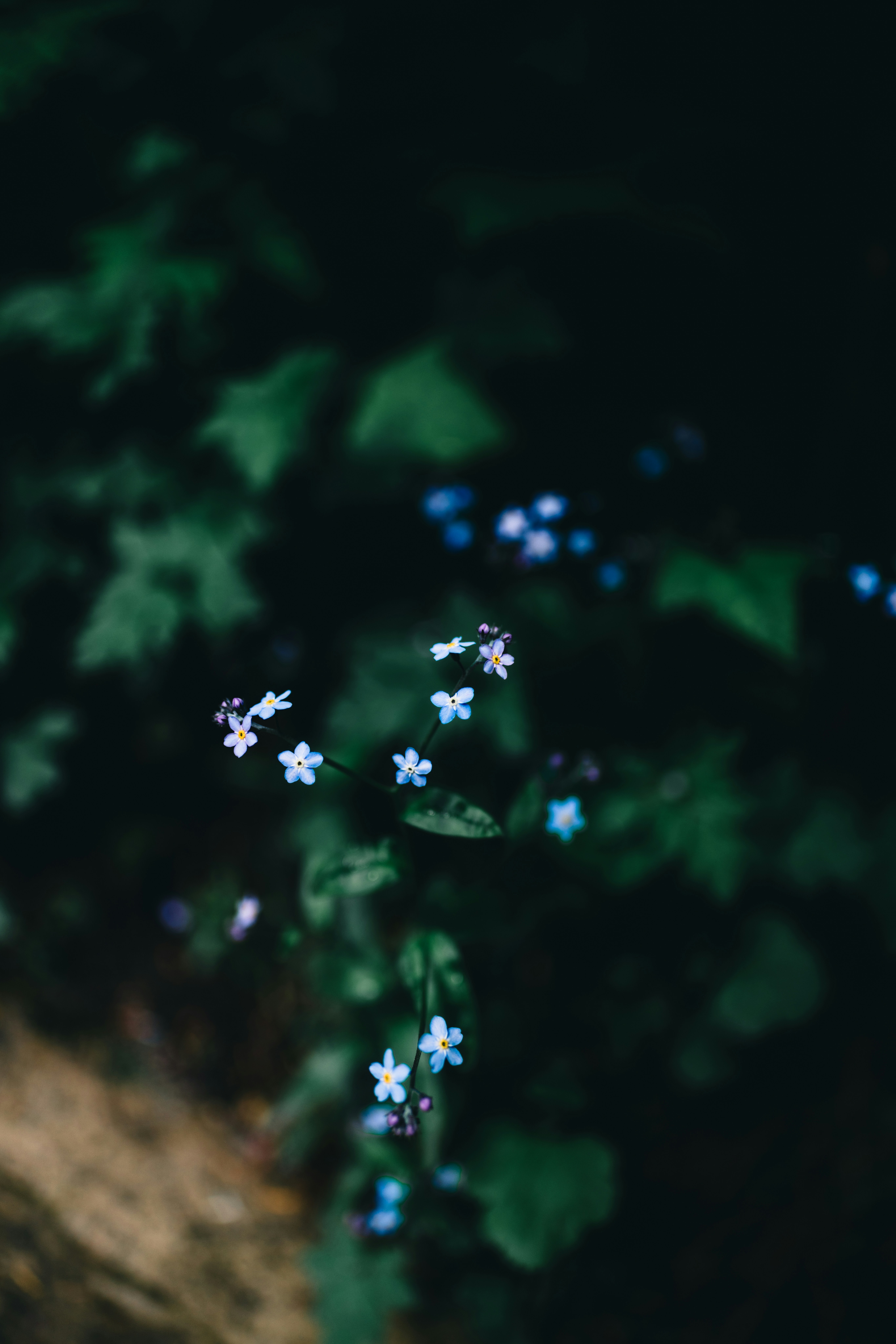 Photo by lureofadventure