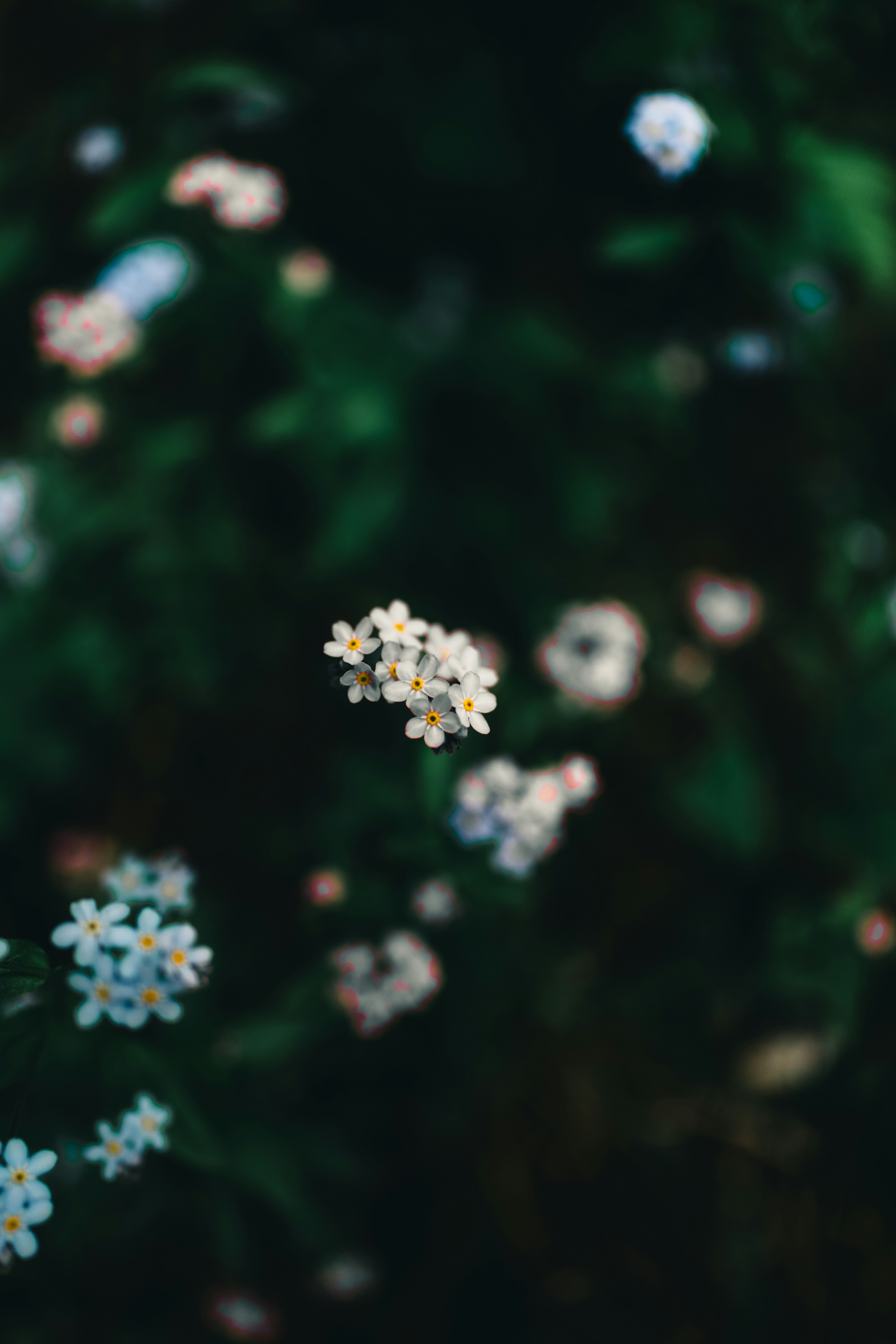 Photo by lureofadventure