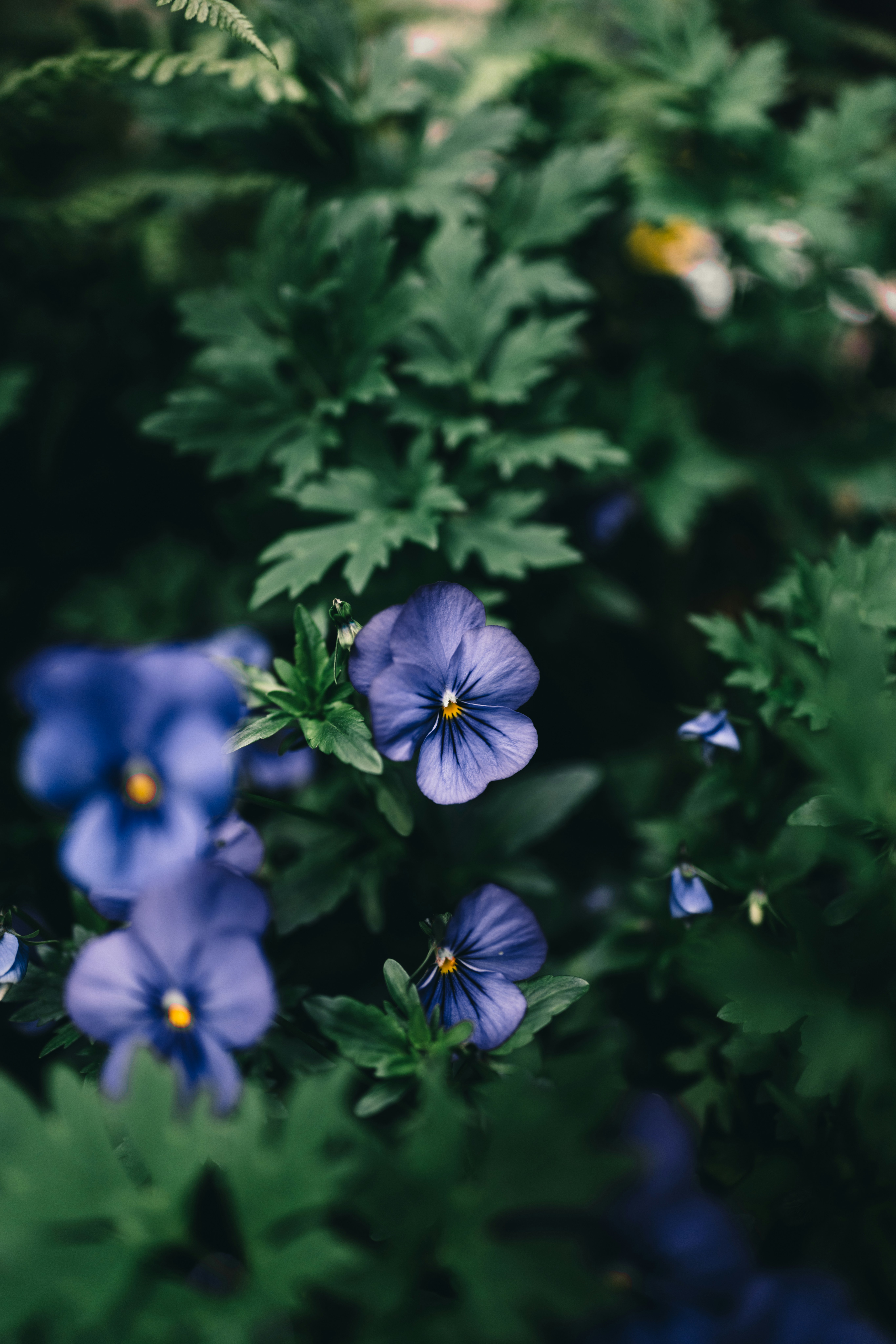 Photo by lureofadventure