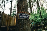 A sign on a tree points to the tower.